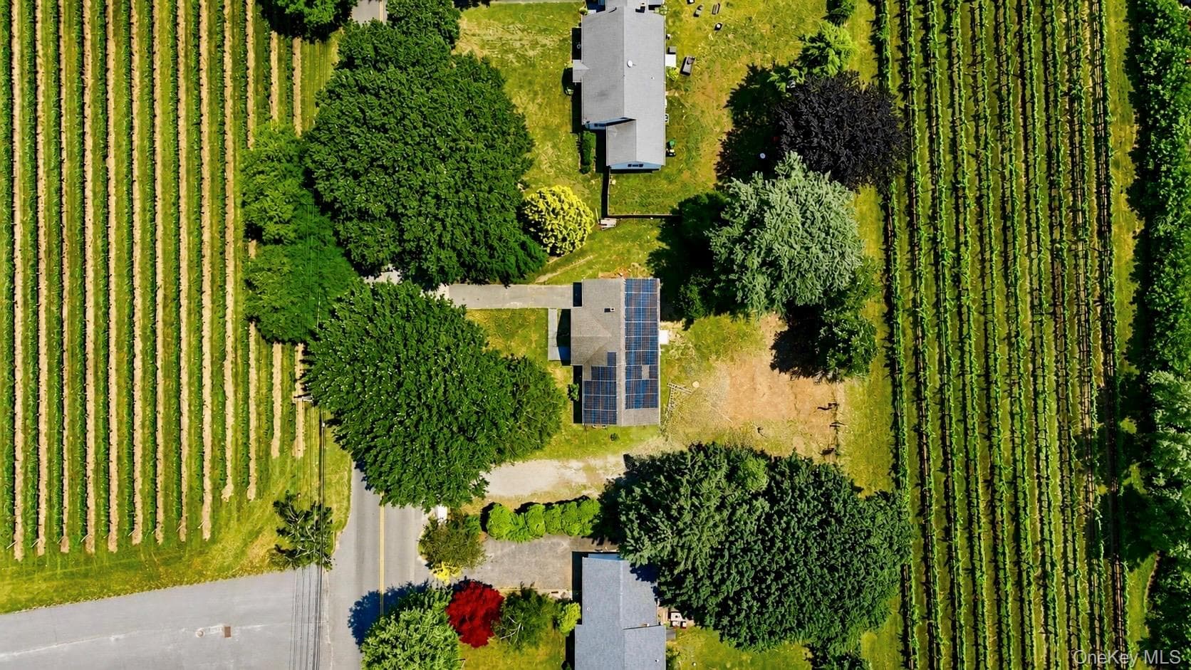 725 Peconic Lane thumbnail 3