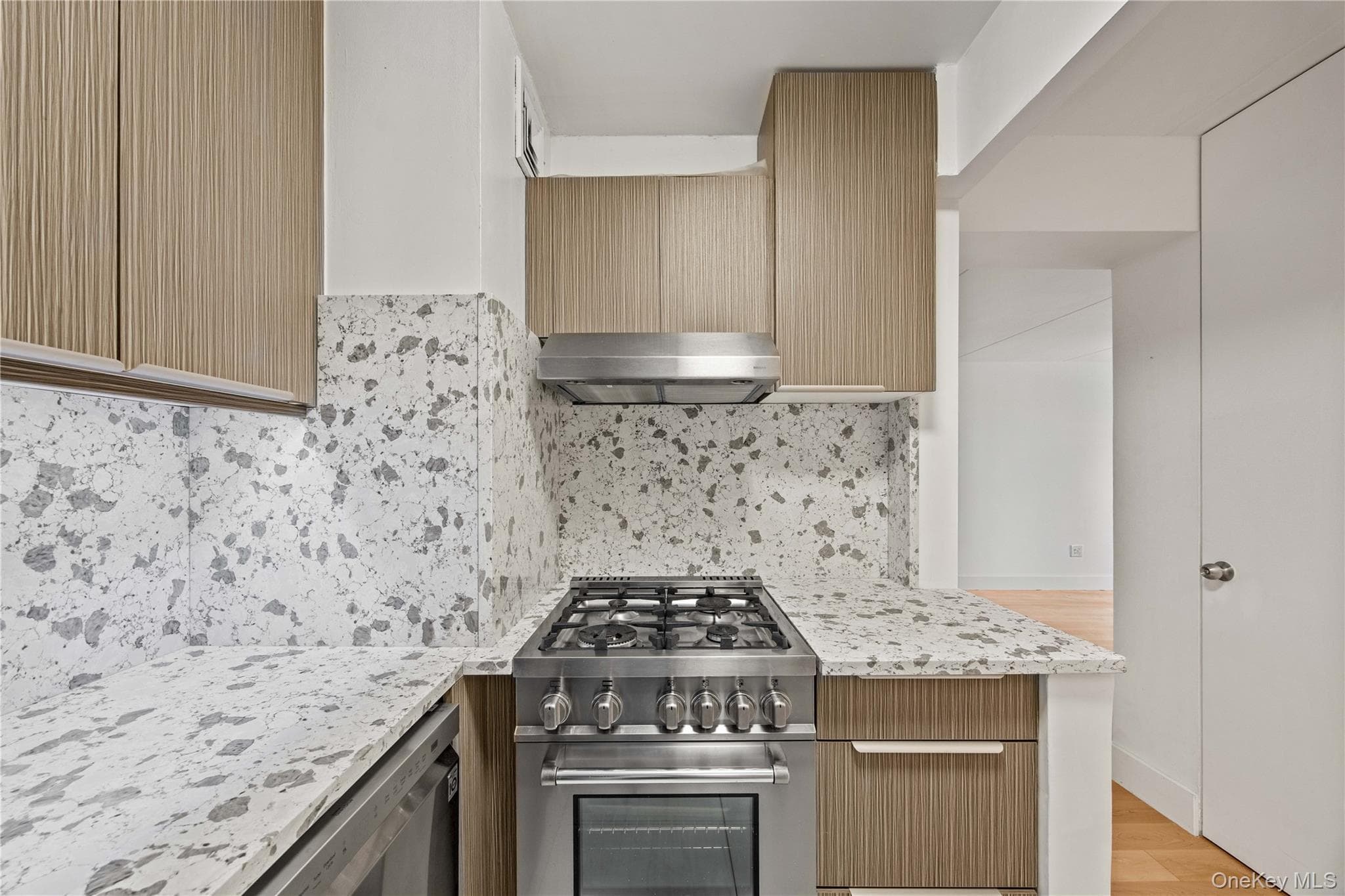 220 Manhattan Avenue Unit: 2N thumbnail 8
