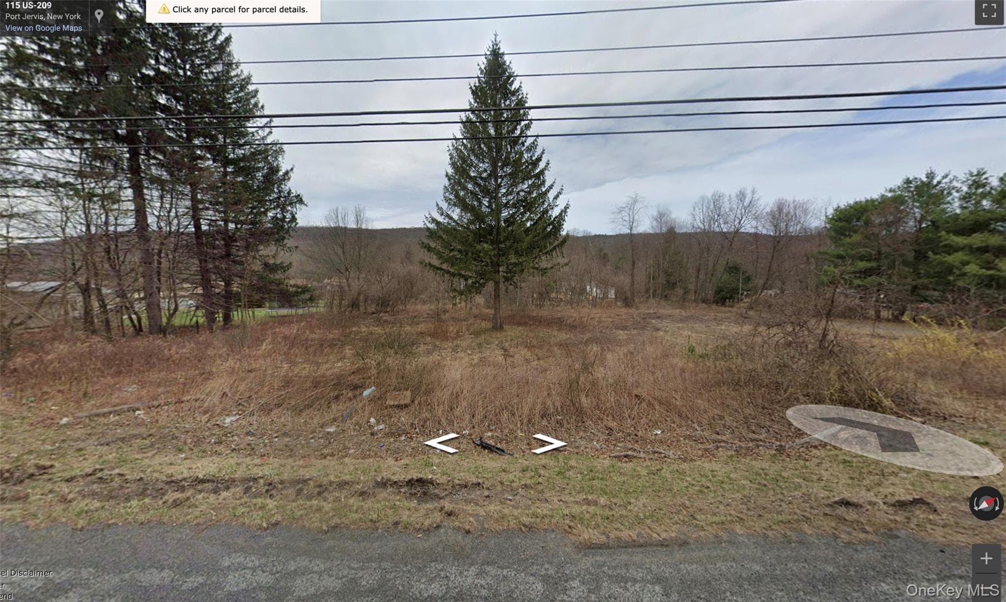 113 Route 209 photo 1