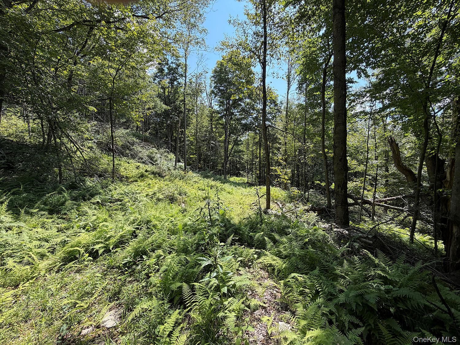 Hammer Road thumbnail 20