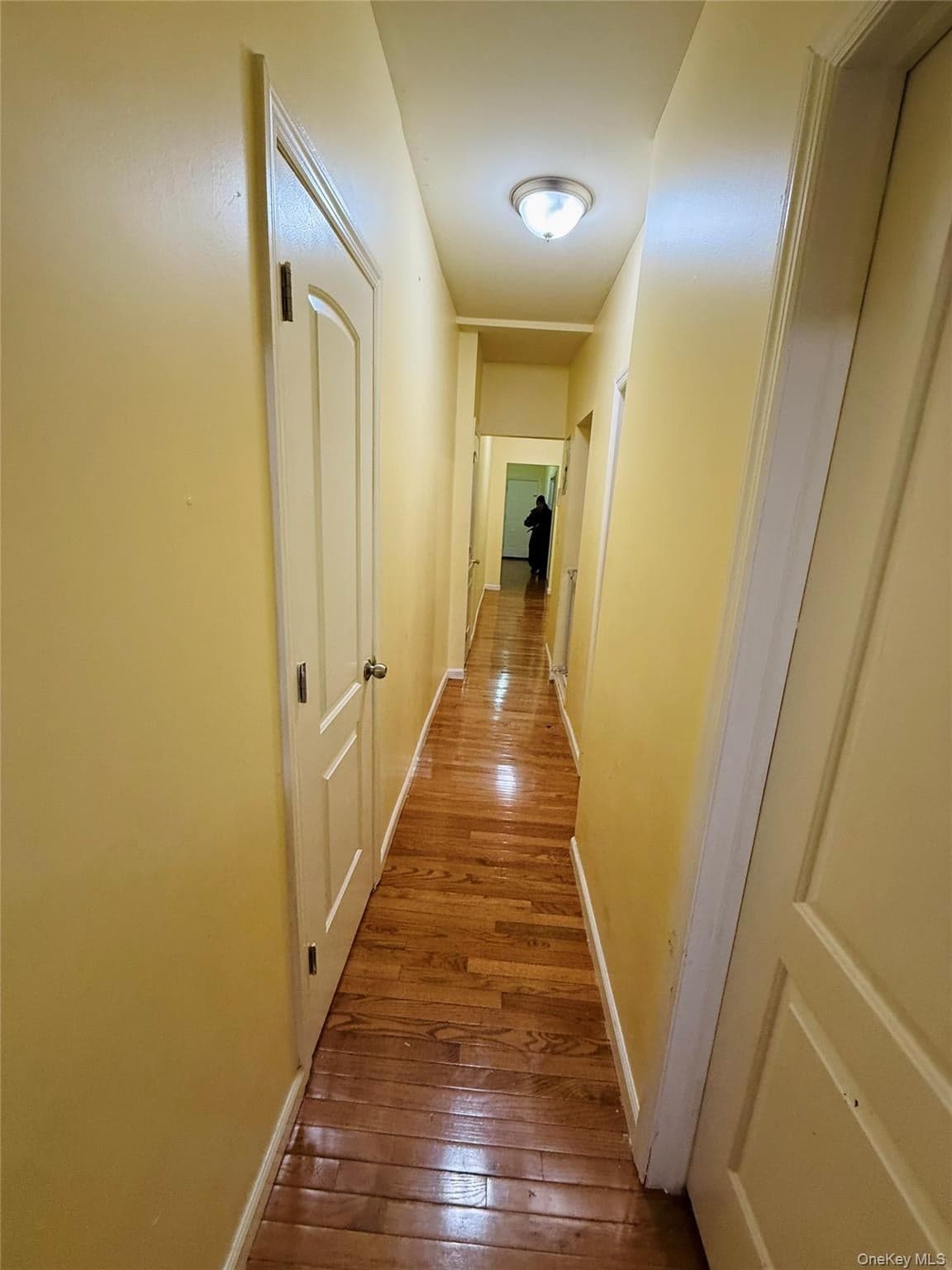 1327 Plimpton Avenue thumbnail 2