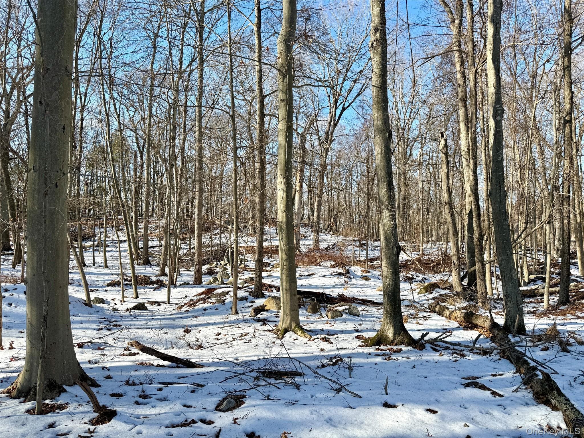 8 Maple Ridge Trail thumbnail 3