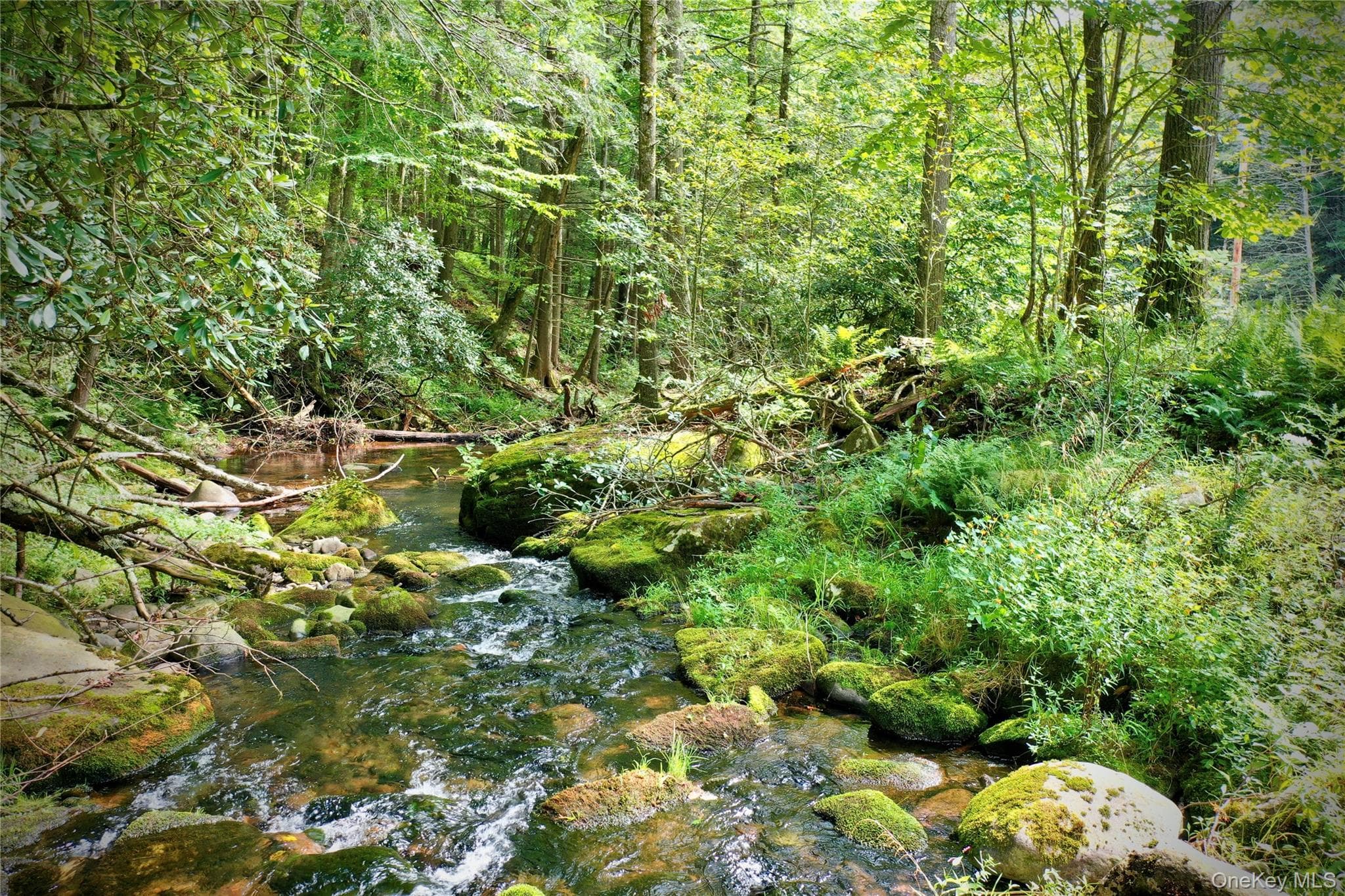 283 Pepacton Hollow Road thumbnail 2