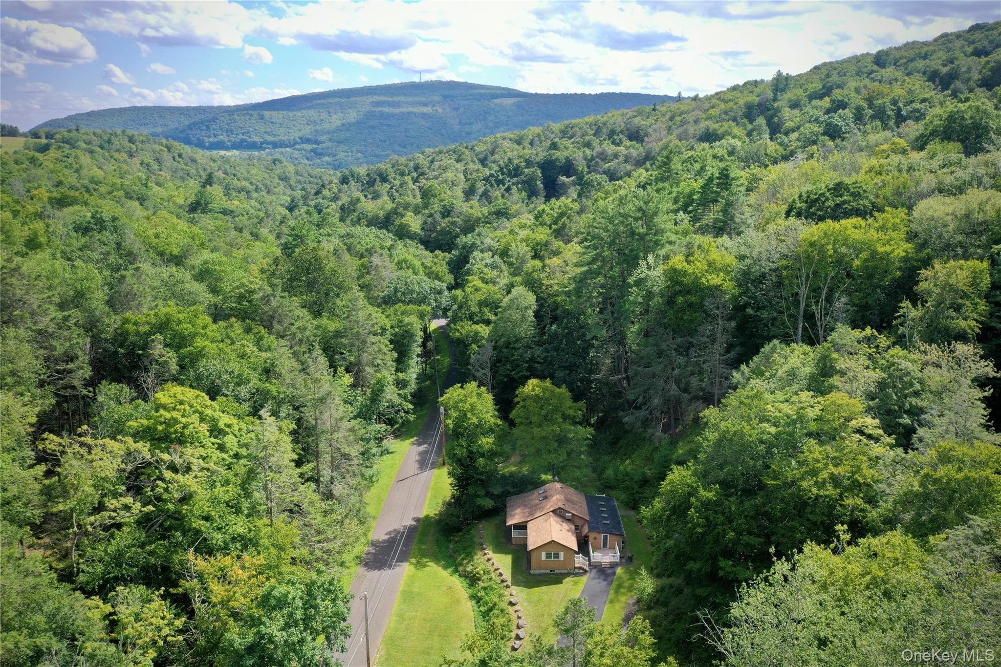 283 Pepacton Hollow Road thumbnail 3
