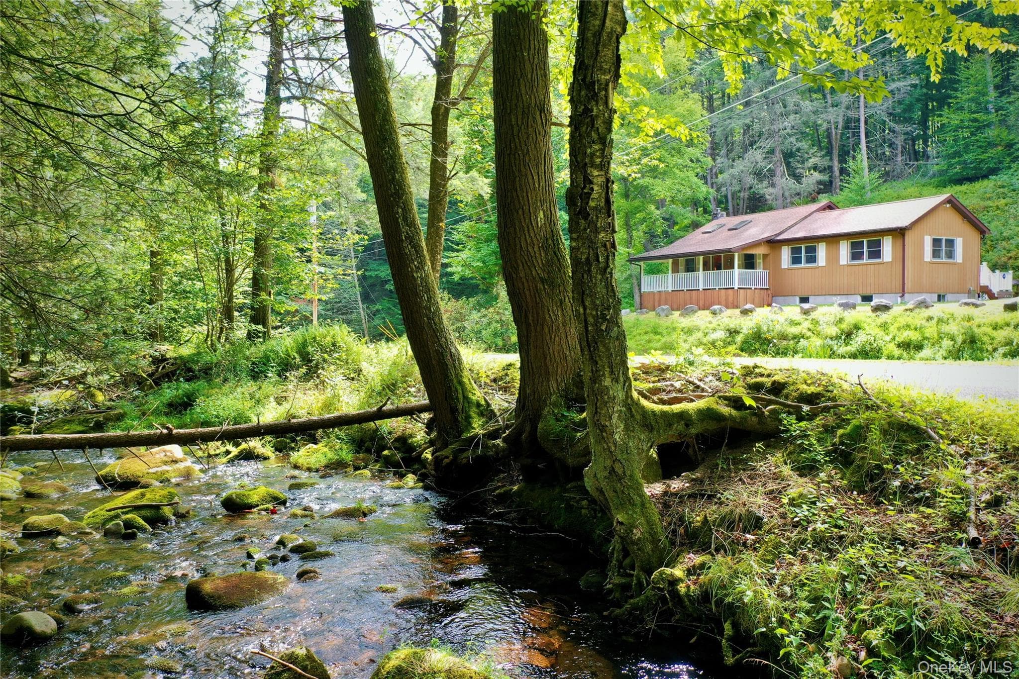 283 Pepacton Hollow Road photo 1