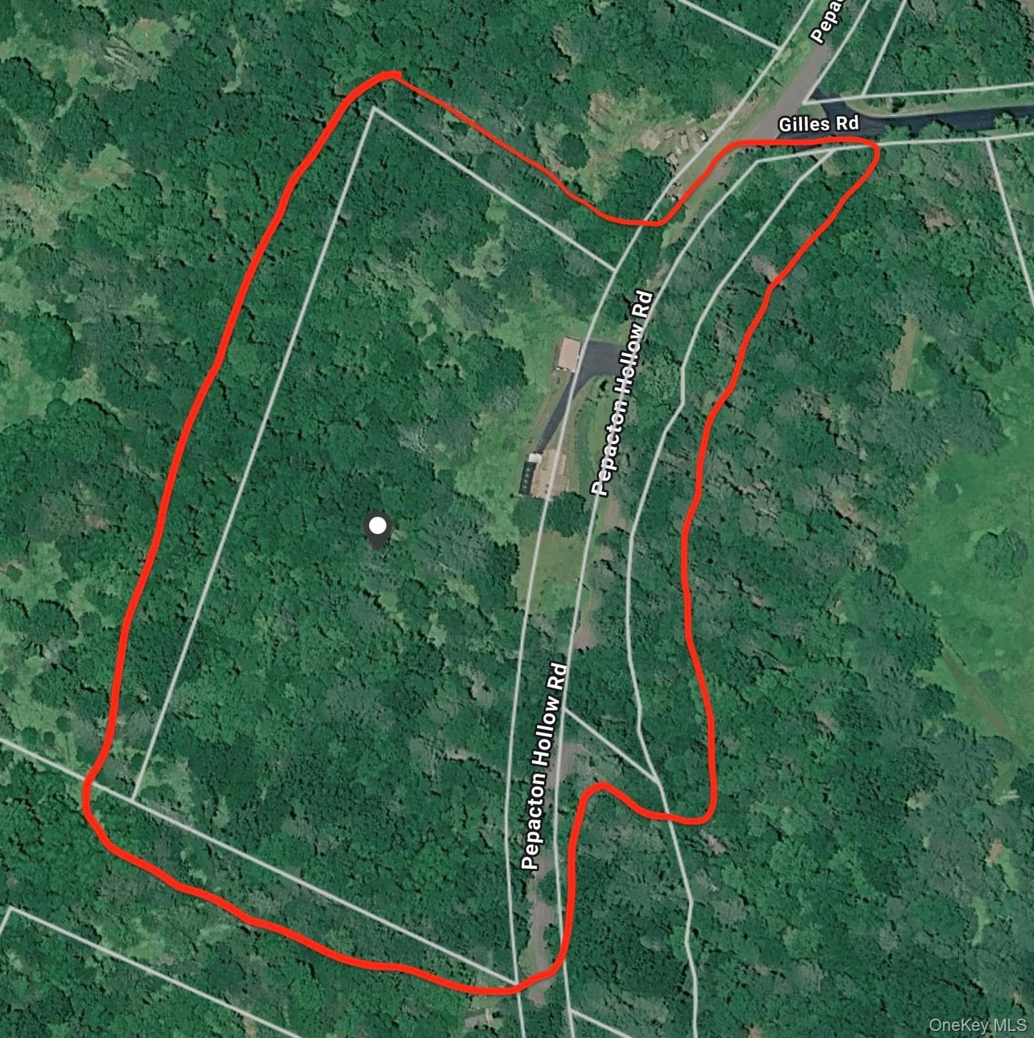 283 Pepacton Hollow Road thumbnail 47