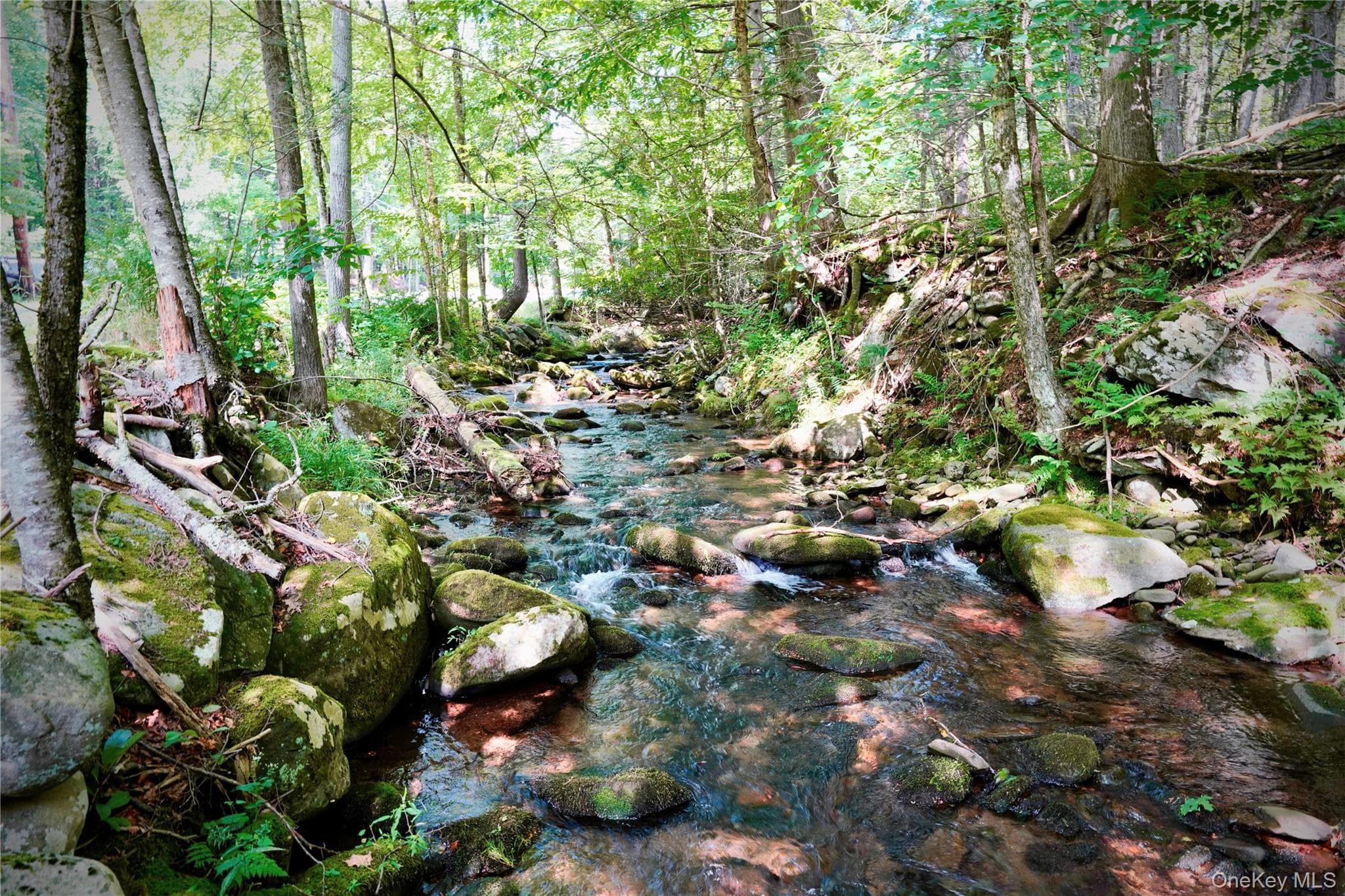 283 Pepacton Hollow Road thumbnail 45