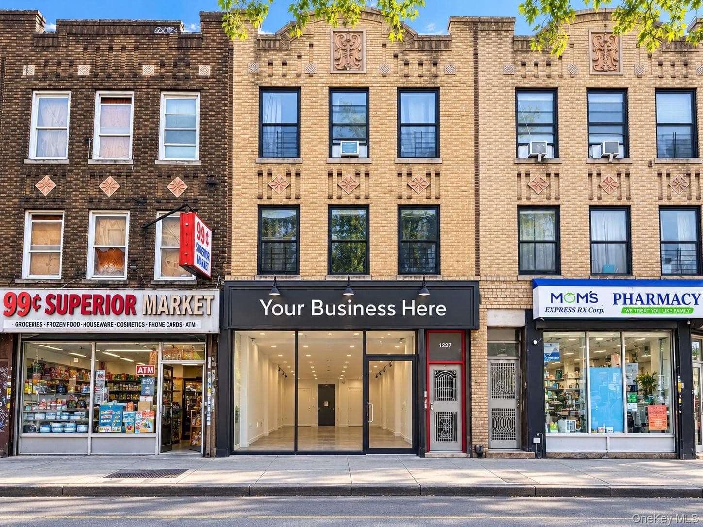 233 Utica Avenue thumbnail 9