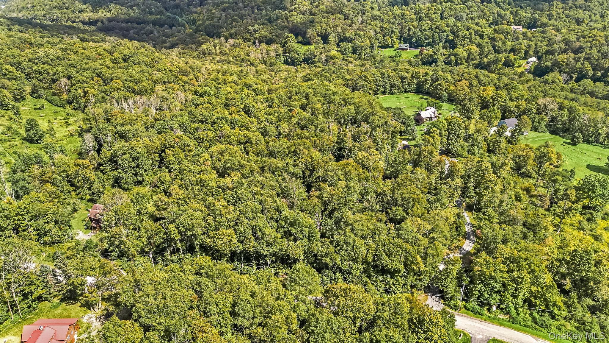 587 Dutch Hill Road thumbnail 32