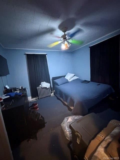 36 Gordon Road thumbnail 20