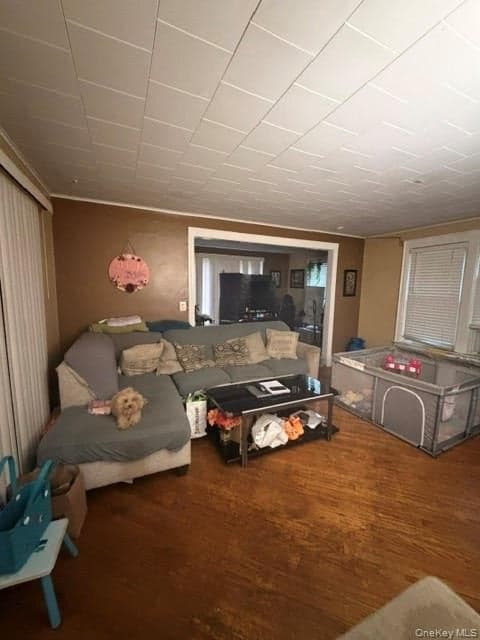 36 Gordon Road thumbnail 12