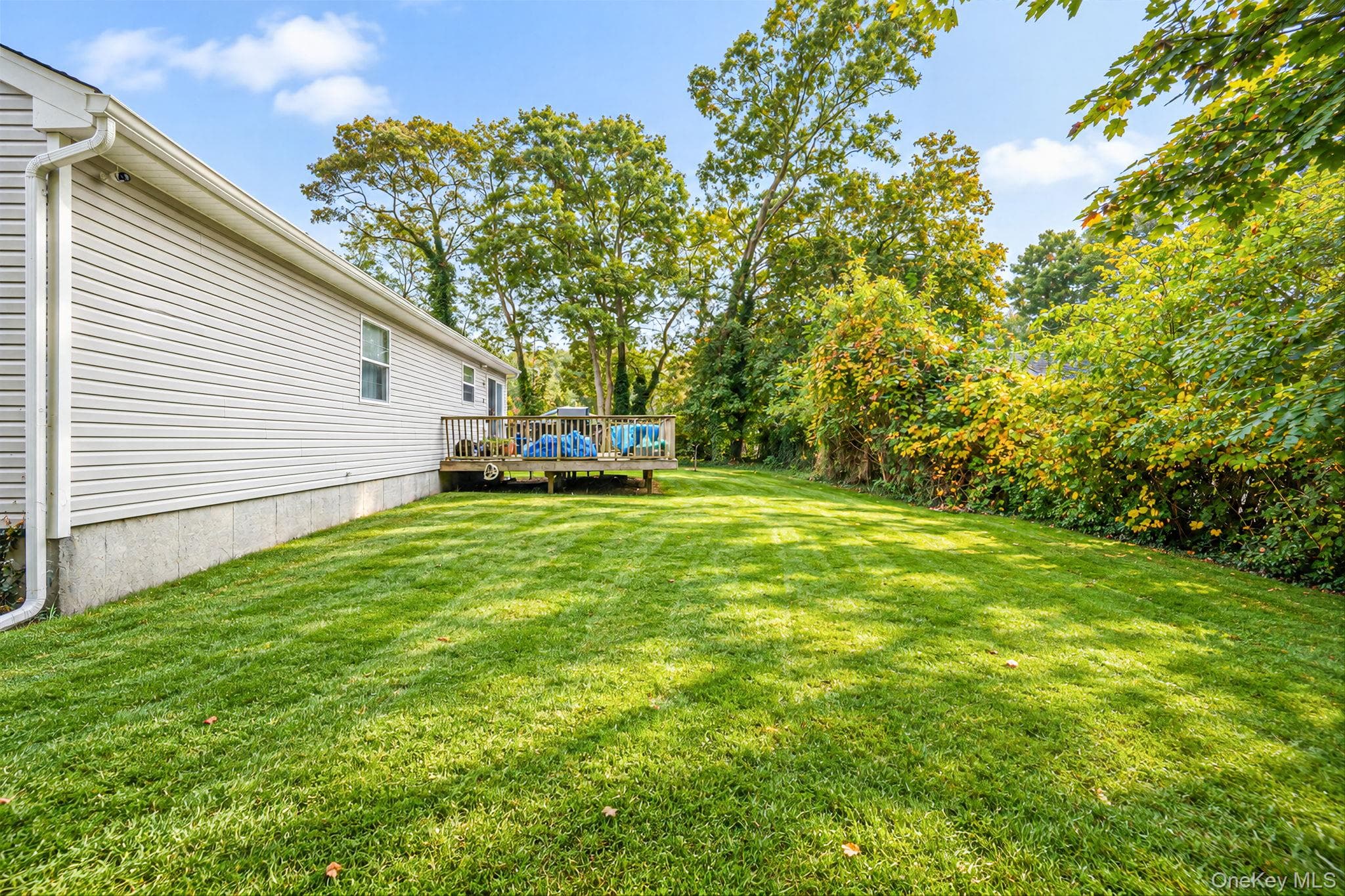 156 Orchid Drive thumbnail 24