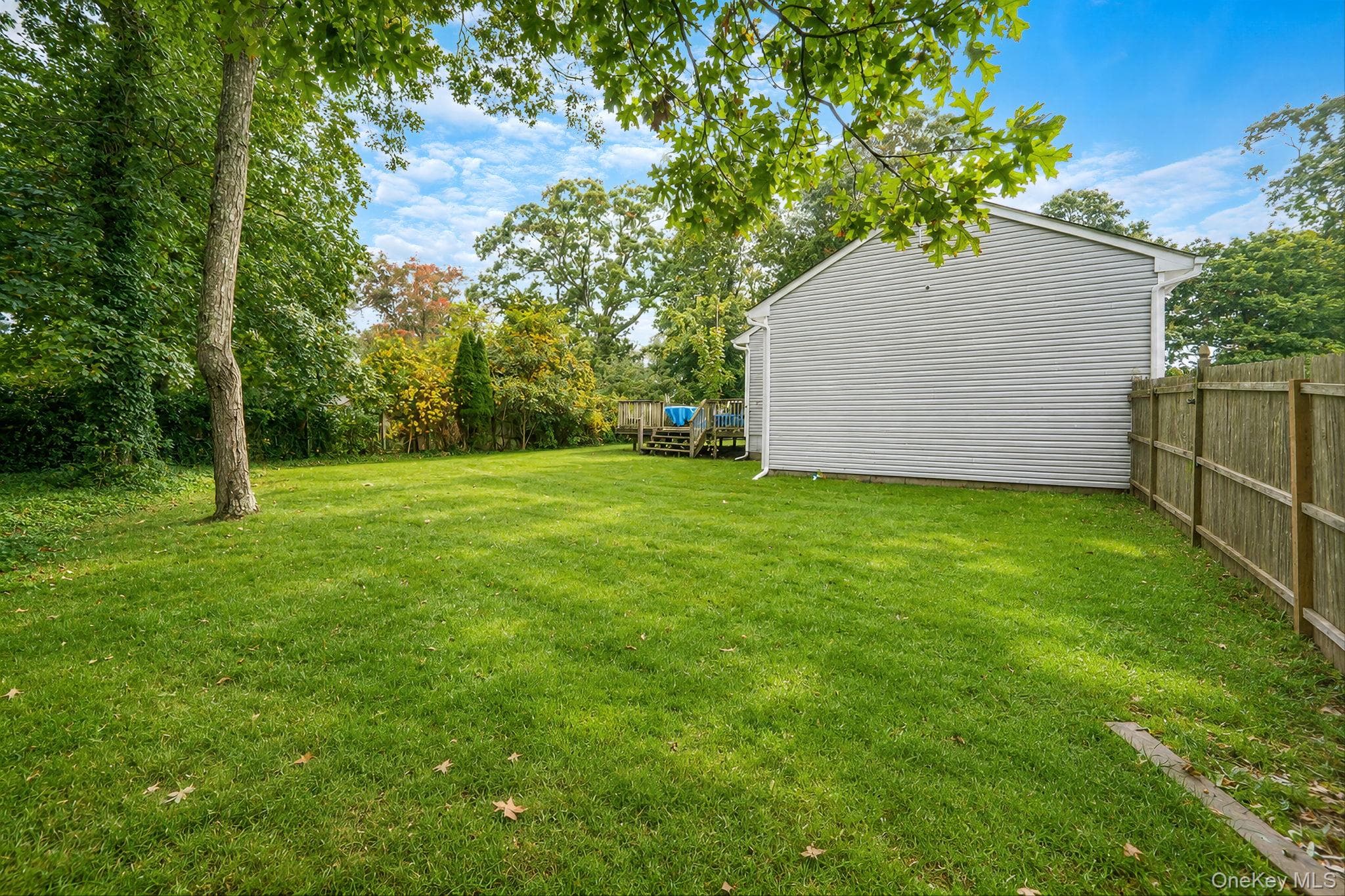 156 Orchid Drive thumbnail 21
