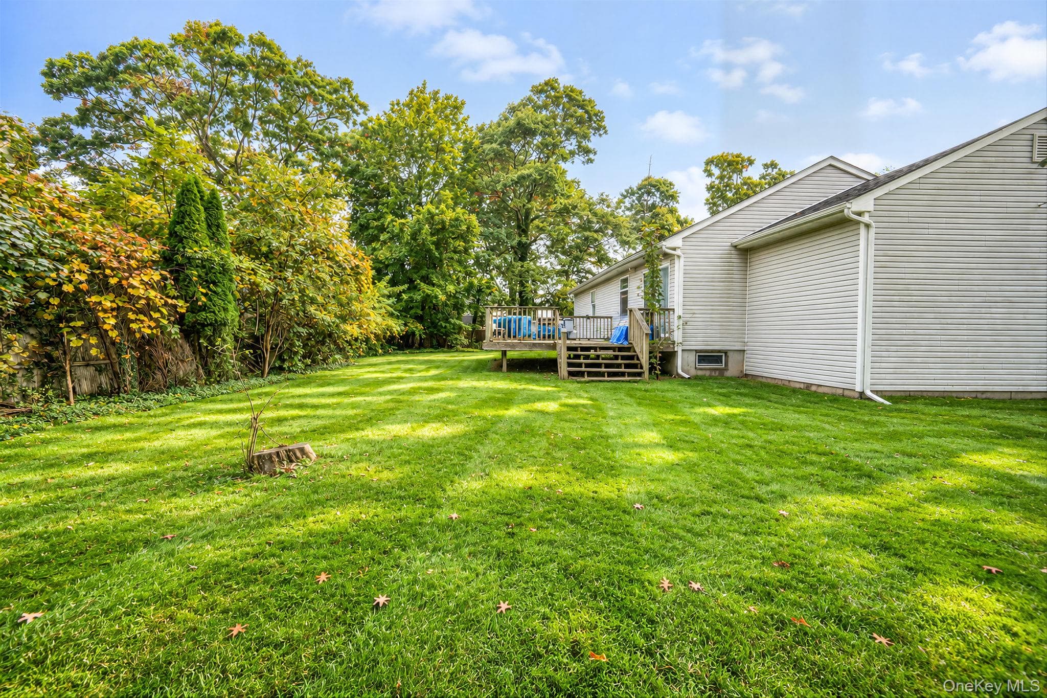 156 Orchid Drive thumbnail 22