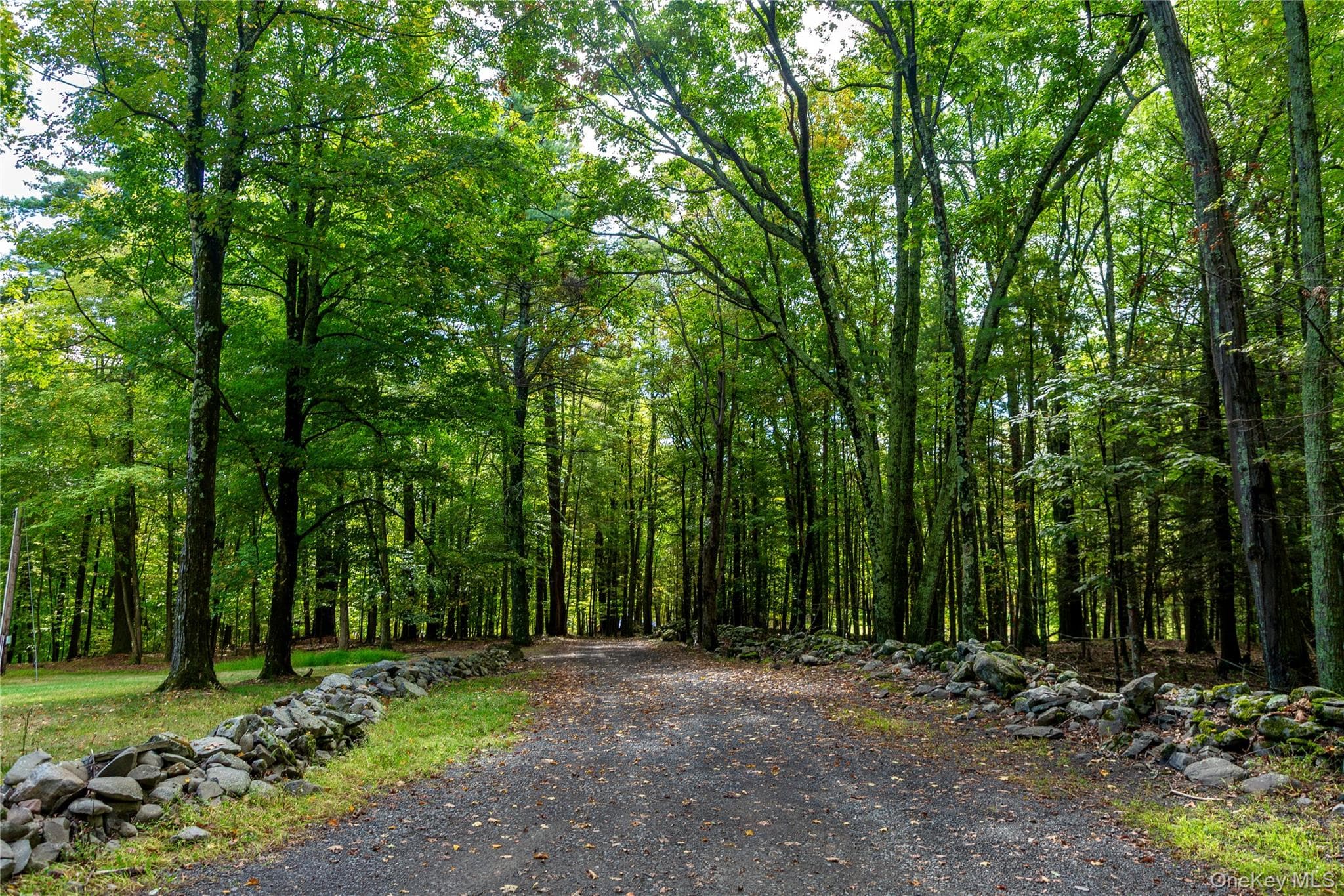 39 Hornbeck Lane thumbnail 21