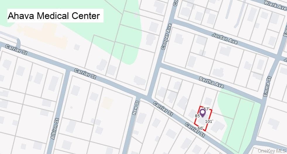 93 Carrier Street thumbnail 39