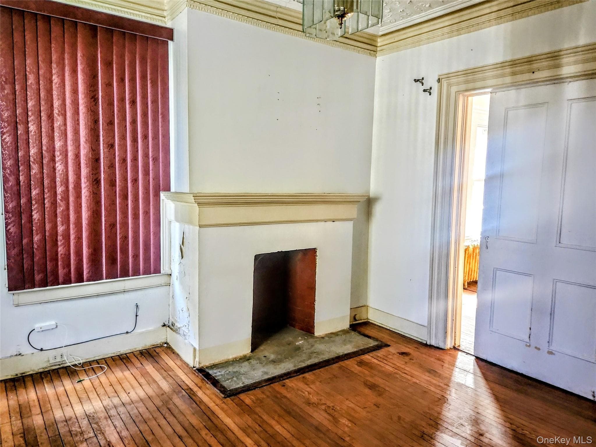 31 Elysian Avenue thumbnail 9