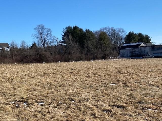 243 Vineyard Avenue thumbnail 10