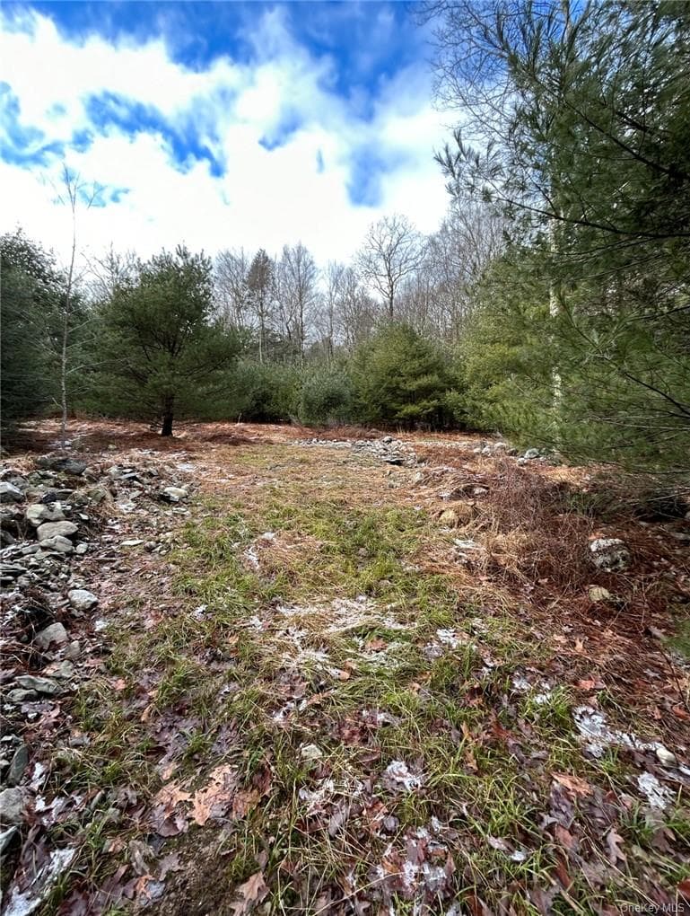 143 Brandt Road thumbnail 3
