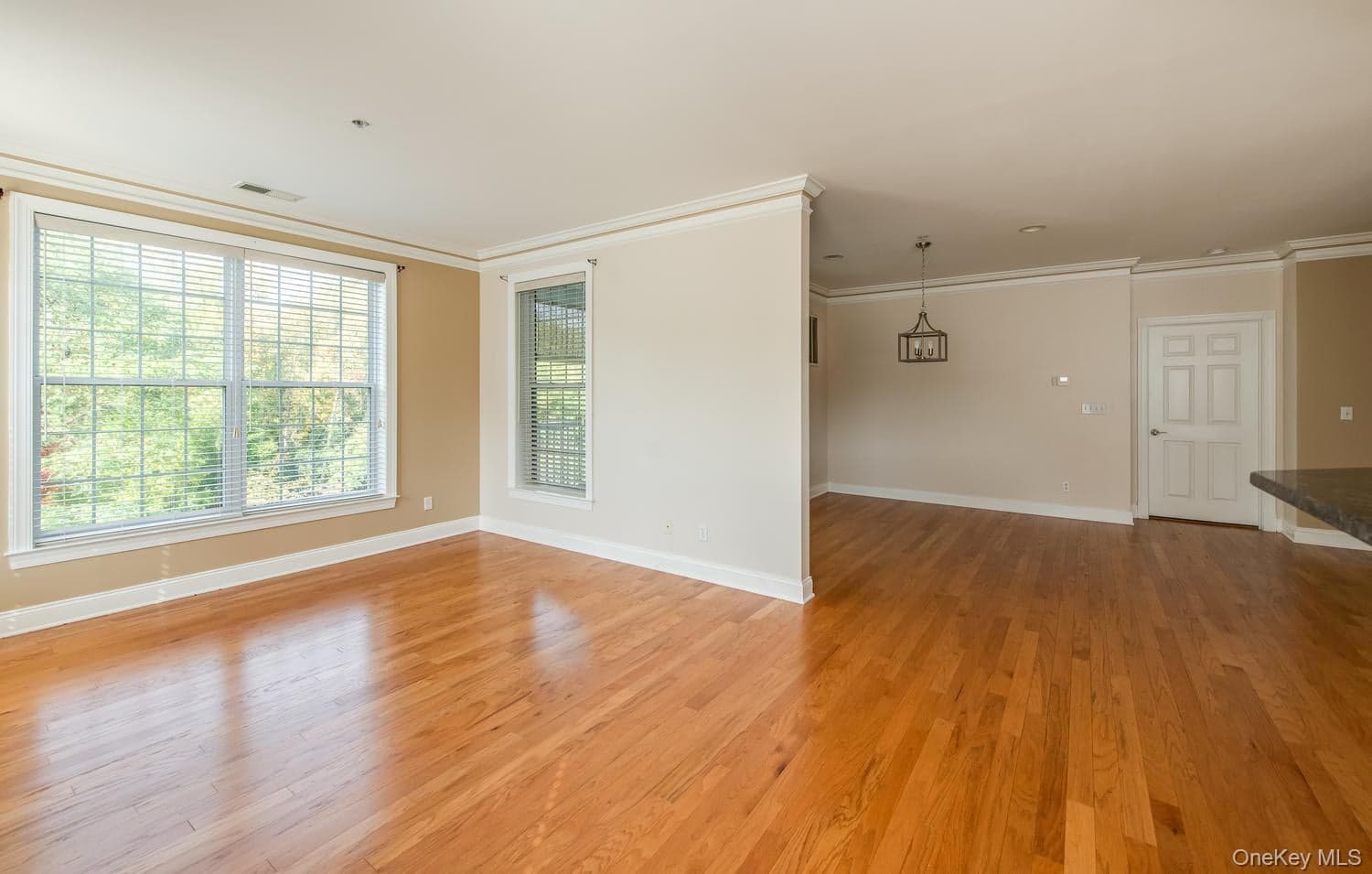 231 Regency Drive thumbnail 12
