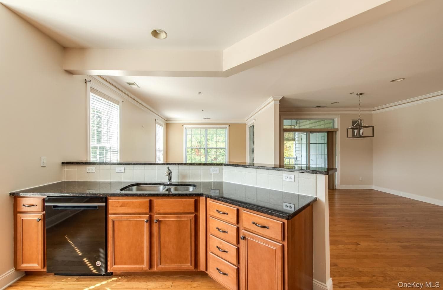 231 Regency Drive thumbnail 9