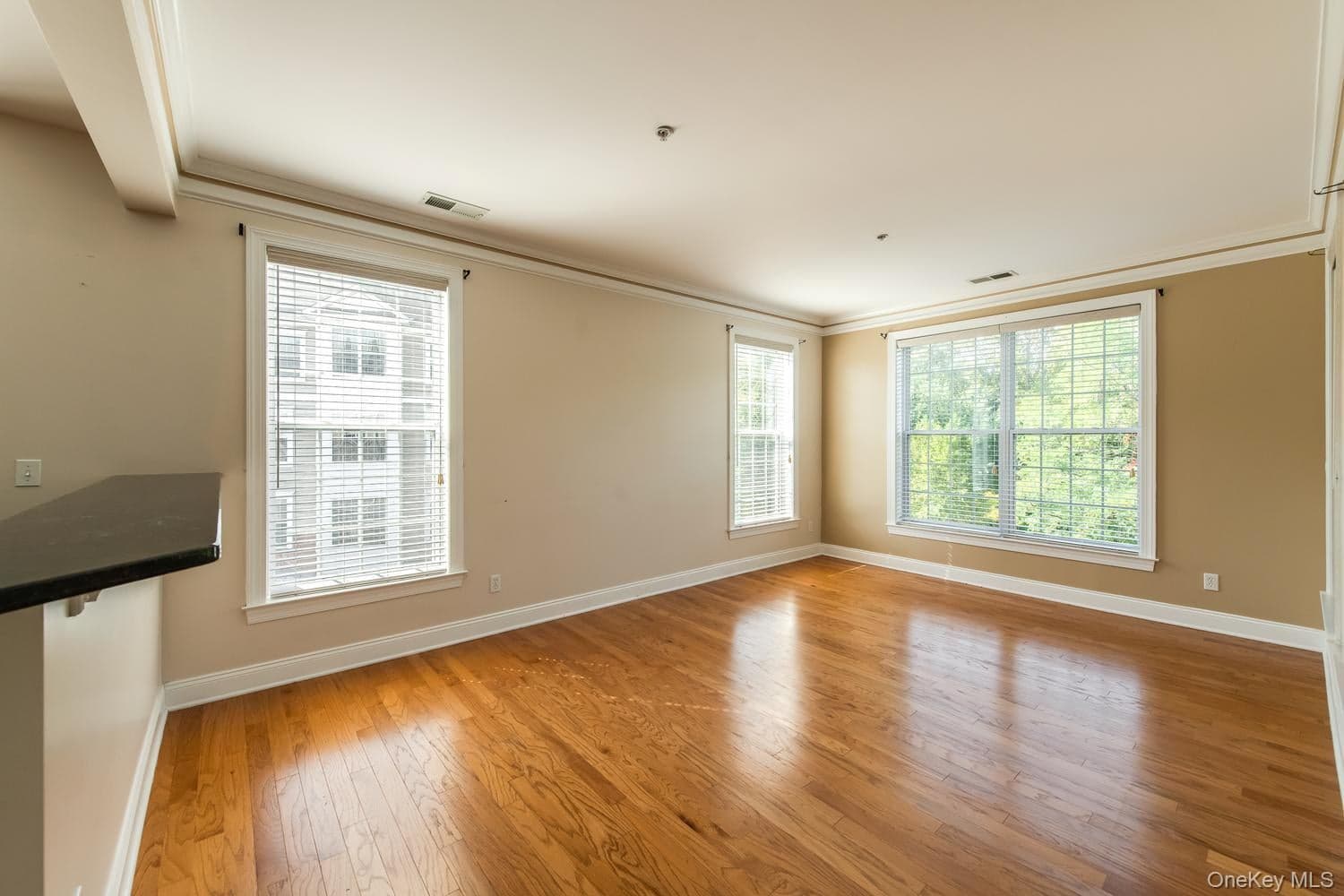 231 Regency Drive thumbnail 11
