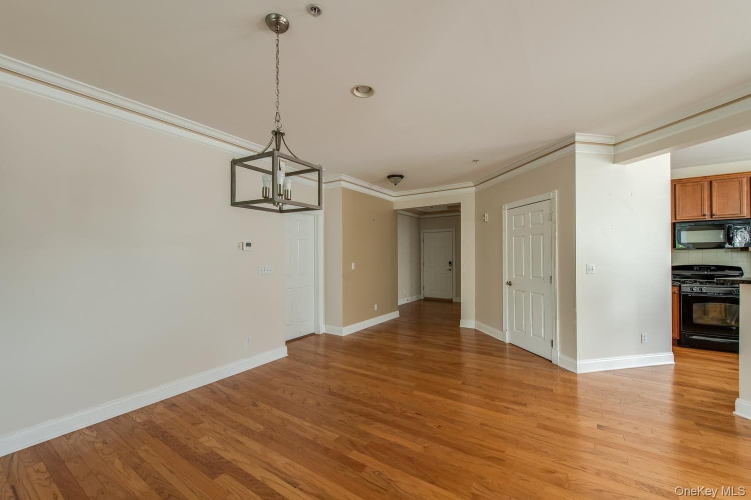 231 Regency Drive thumbnail 22