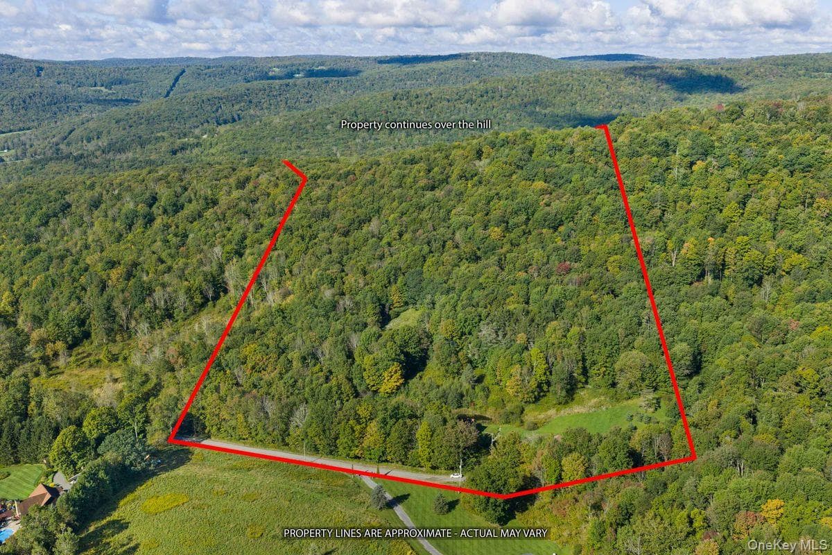 495 William Beers Road thumbnail 44