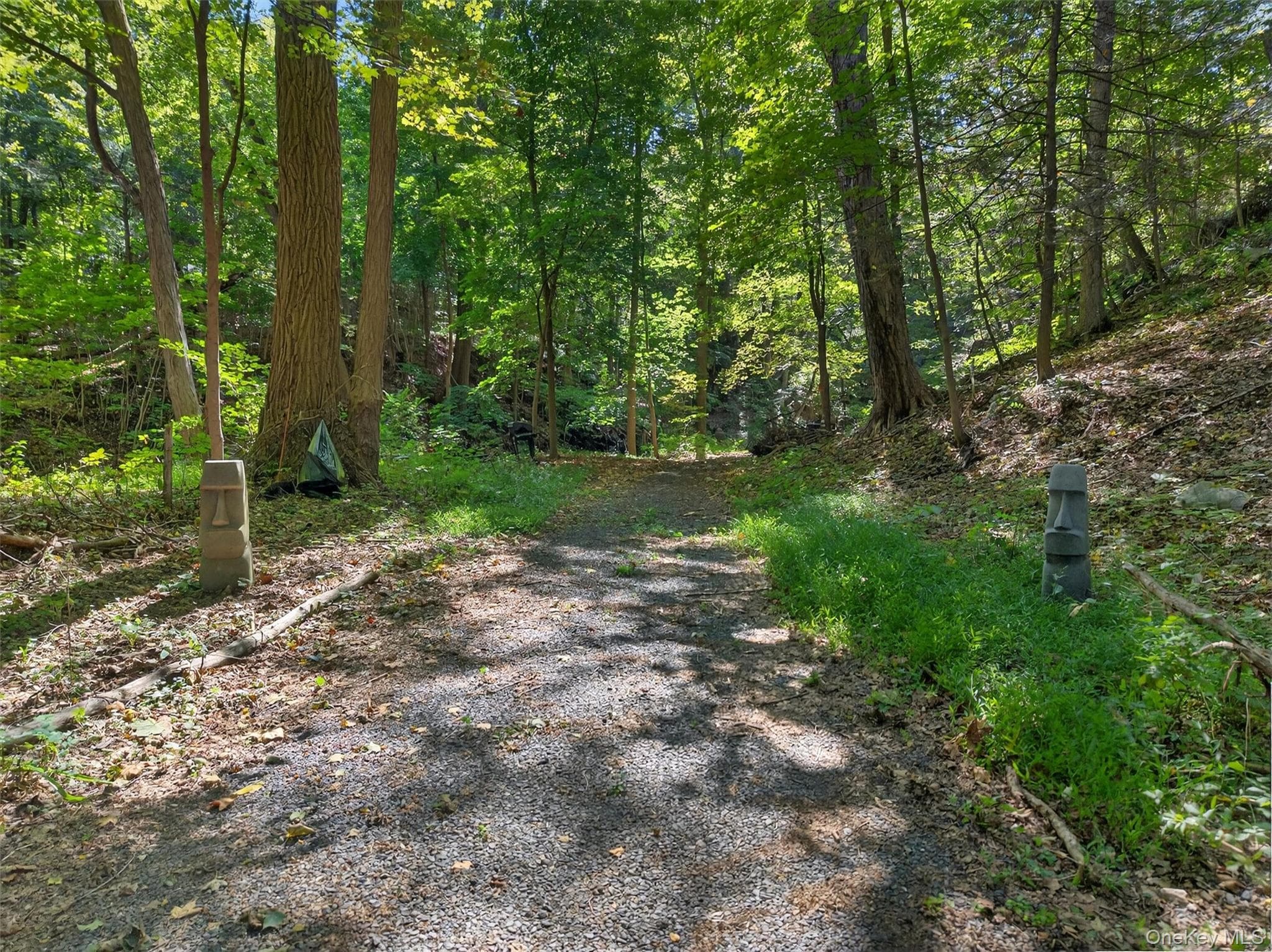 331 Mountain Lodge Road thumbnail 26