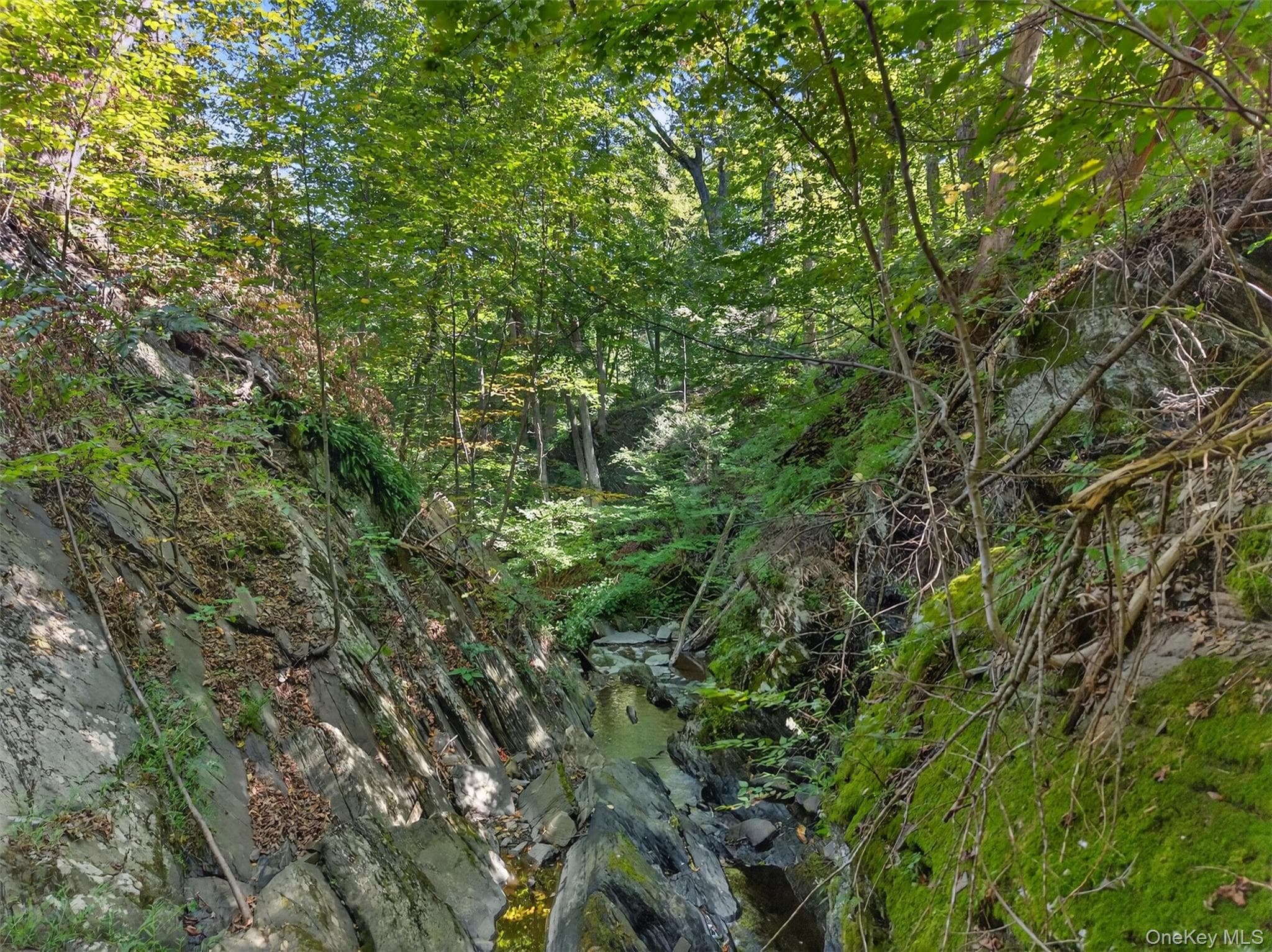 331 Mountain Lodge Road thumbnail 15