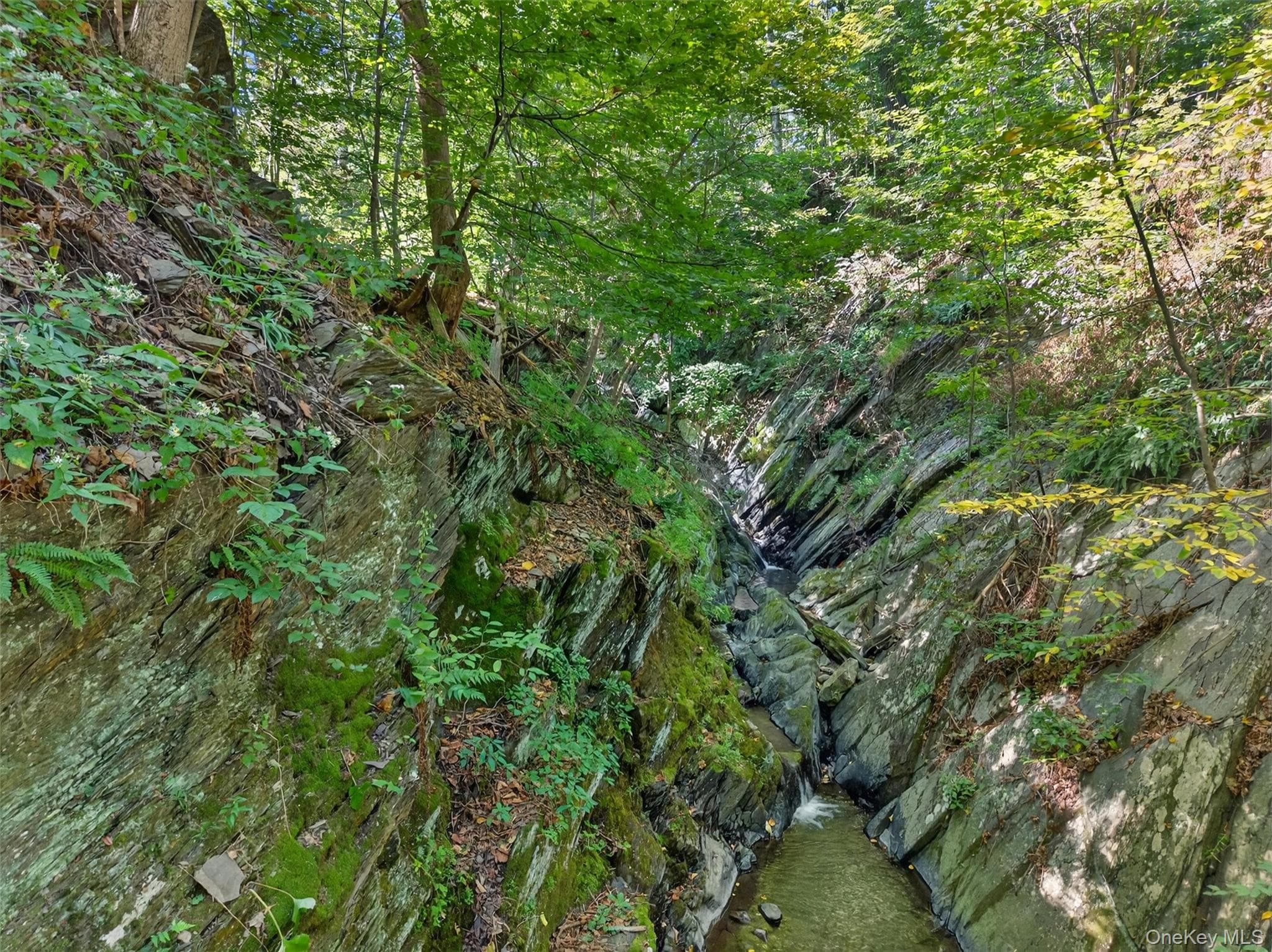 331 Mountain Lodge Road thumbnail 16