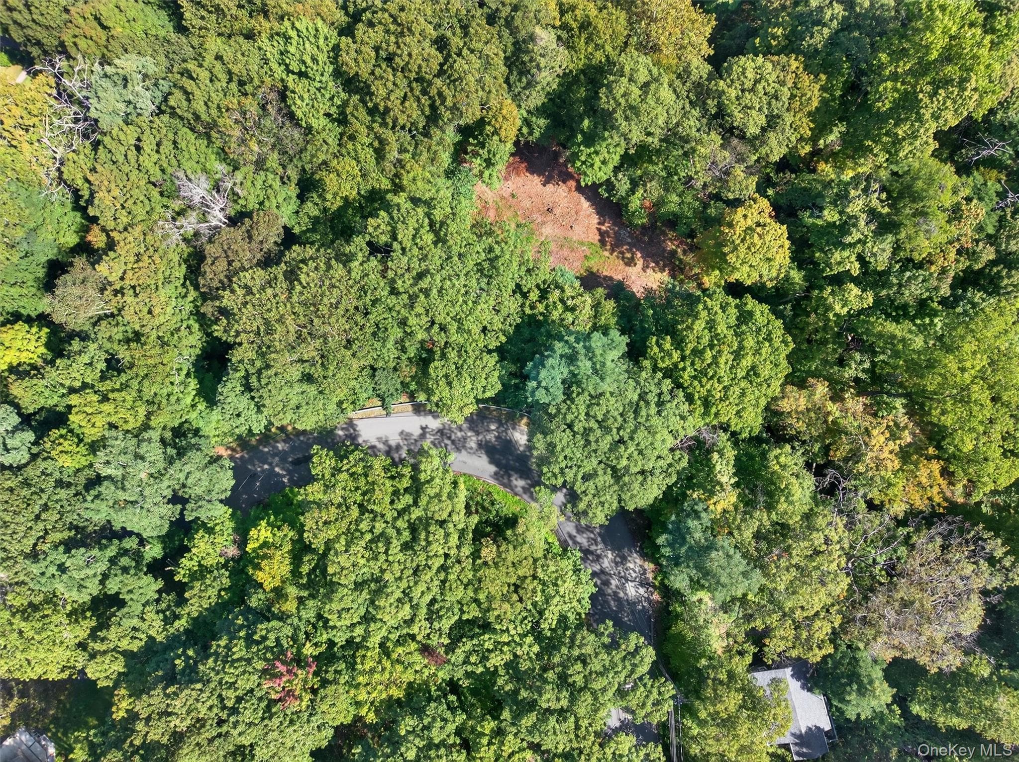 331 Mountain Lodge Road thumbnail 47