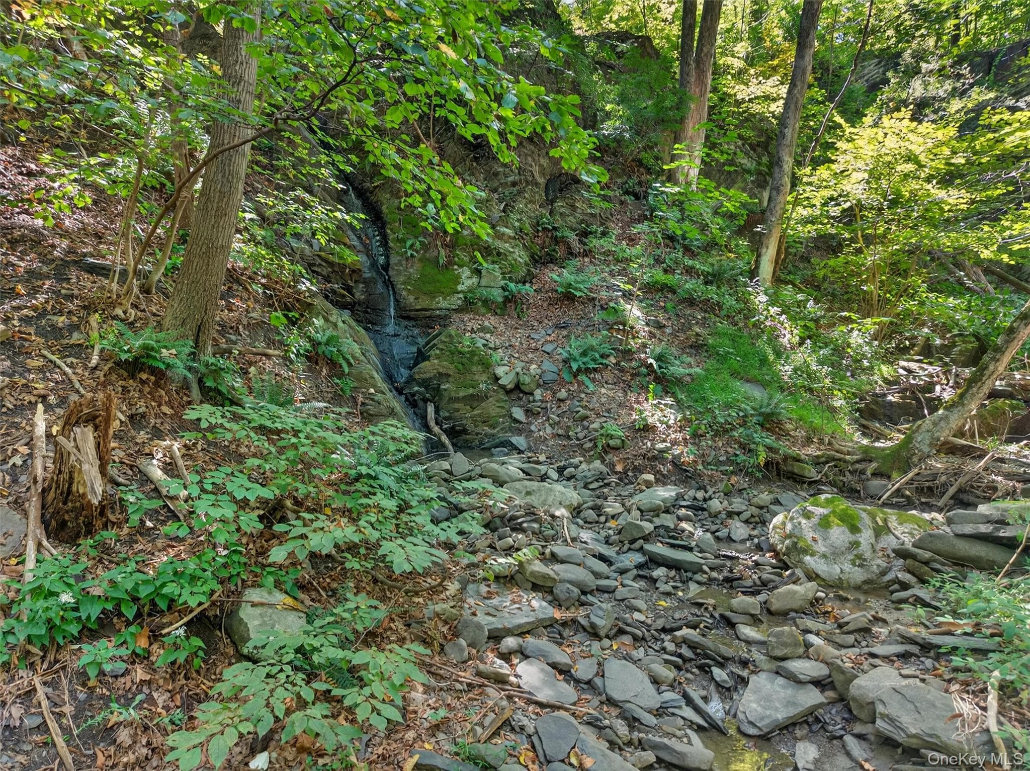 331 Mountain Lodge Road thumbnail 31