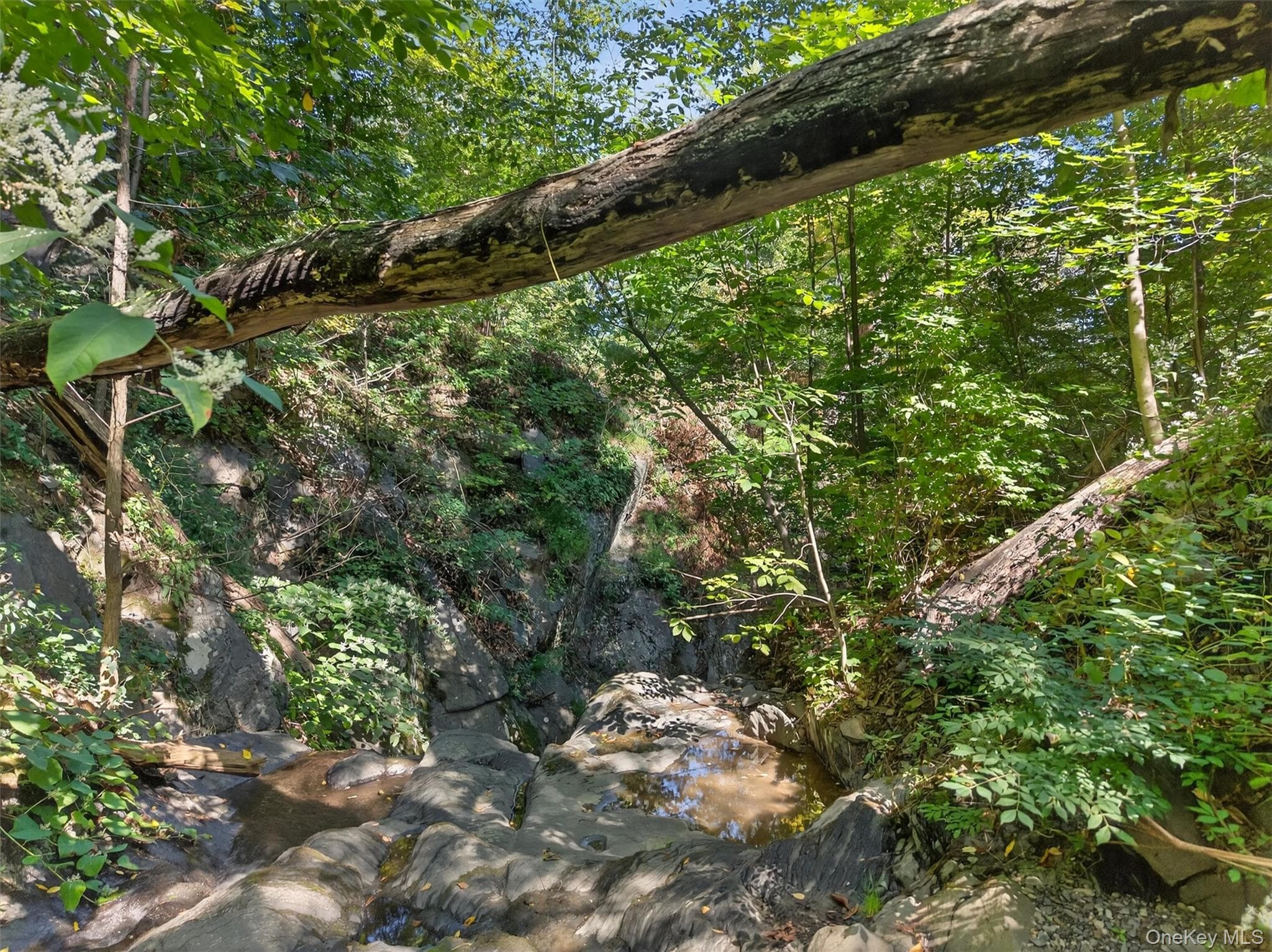 331 Mountain Lodge Road thumbnail 13