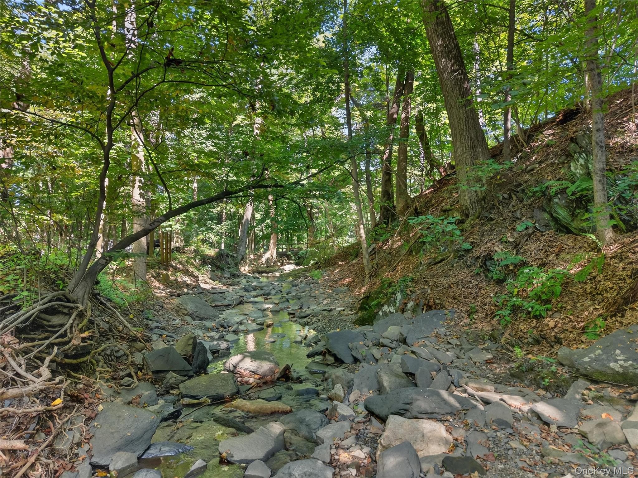 331 Mountain Lodge Road thumbnail 22
