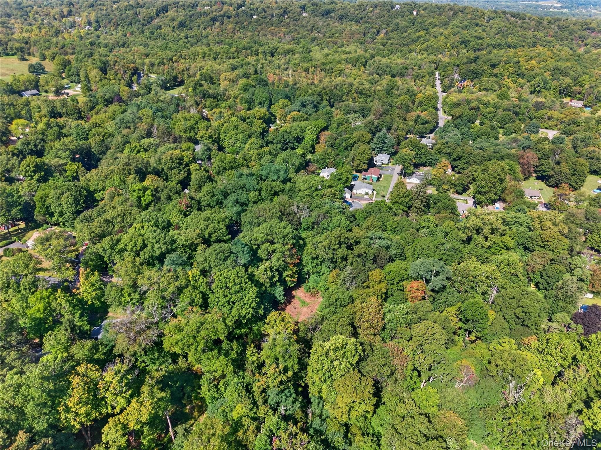 331 Mountain Lodge Road thumbnail 45
