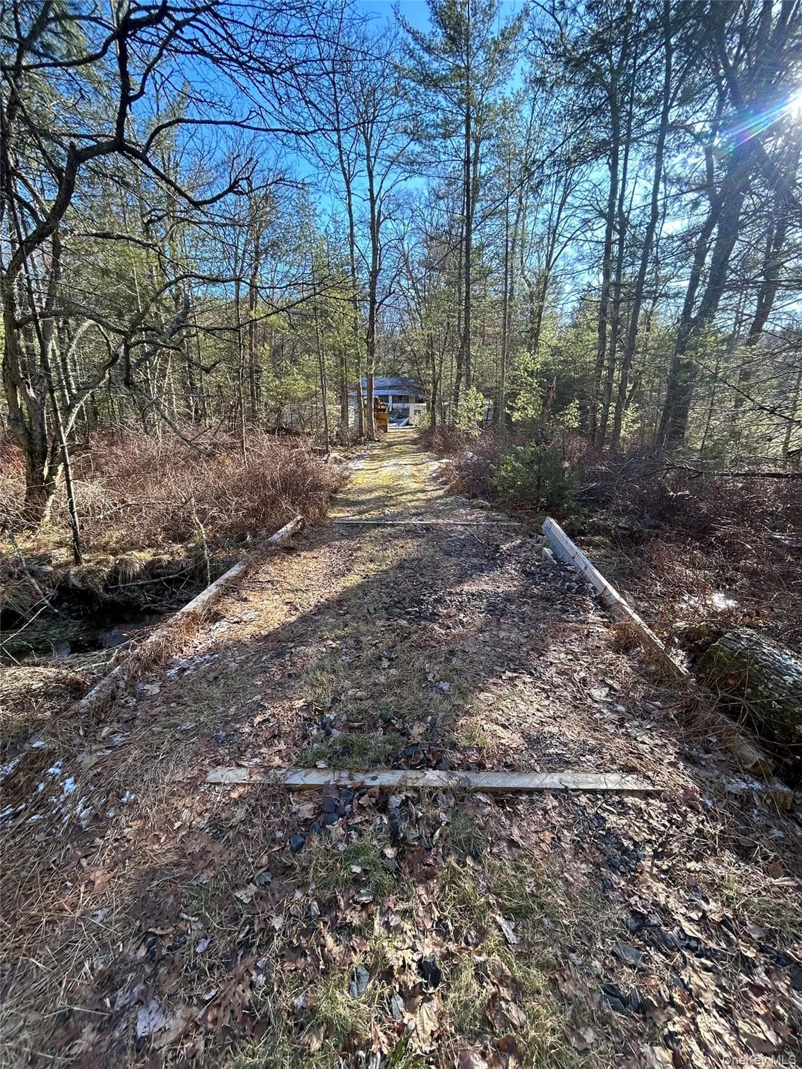 92 Whitehead Road thumbnail 22
