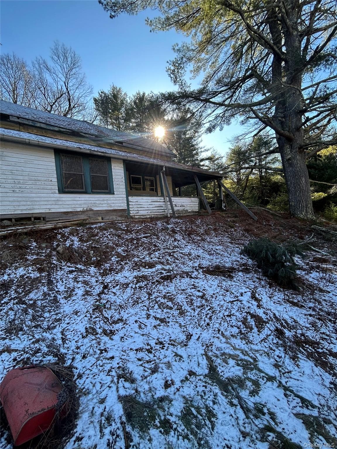 92 Whitehead Road thumbnail 6
