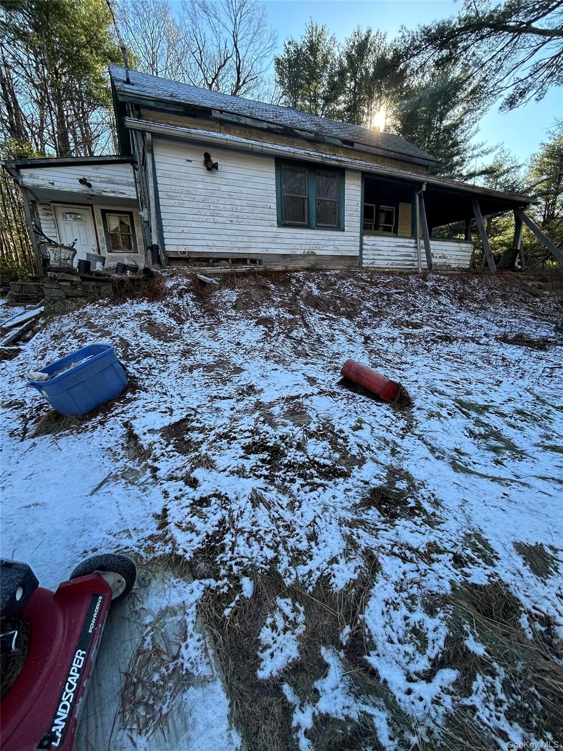 92 Whitehead Road thumbnail 5