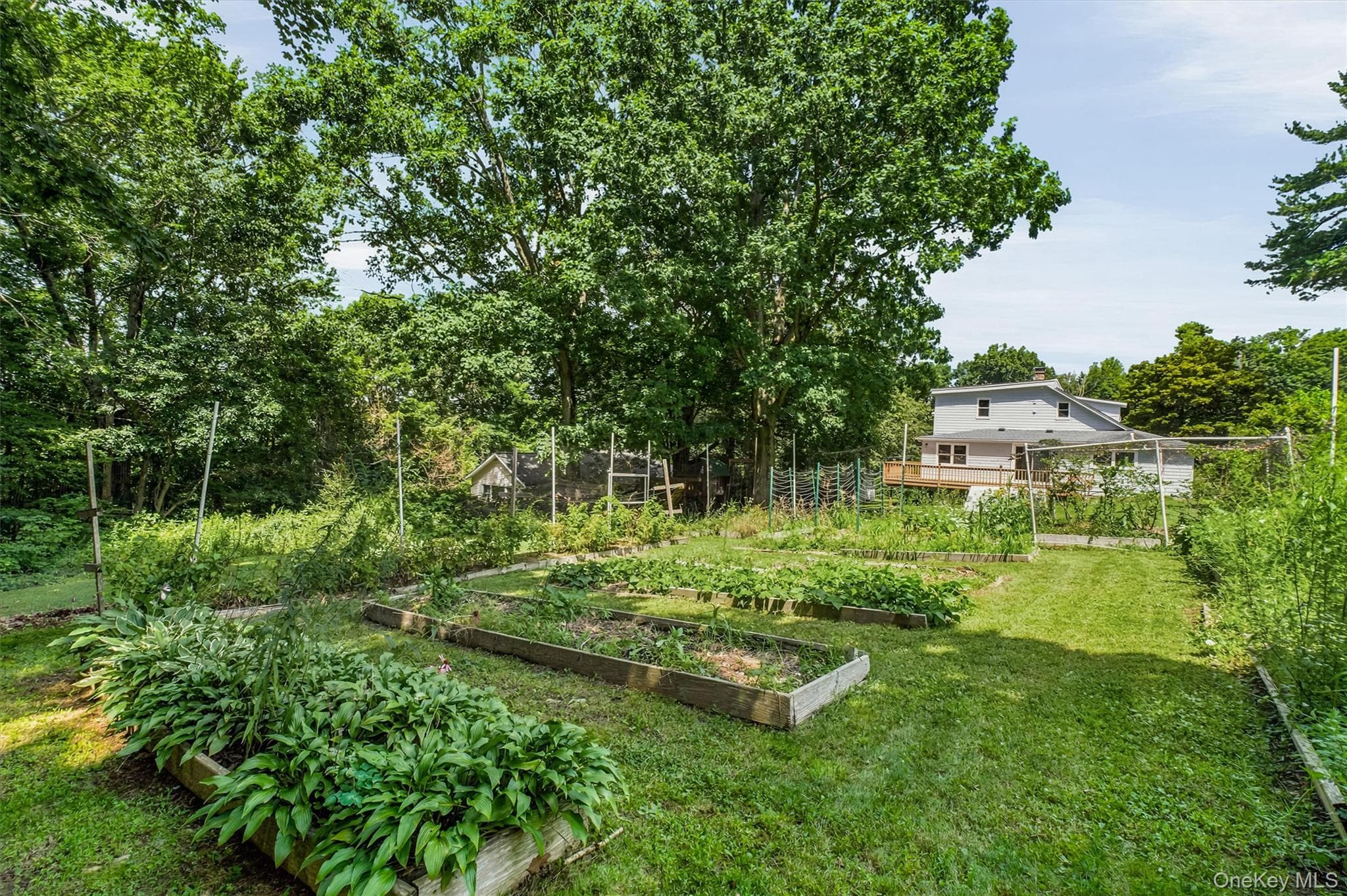 55 Ridge Avenue thumbnail 3