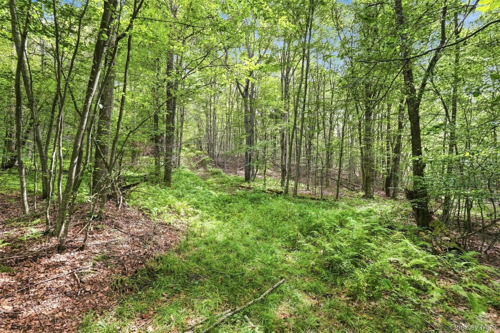 14483 County Road 17 thumbnail 41