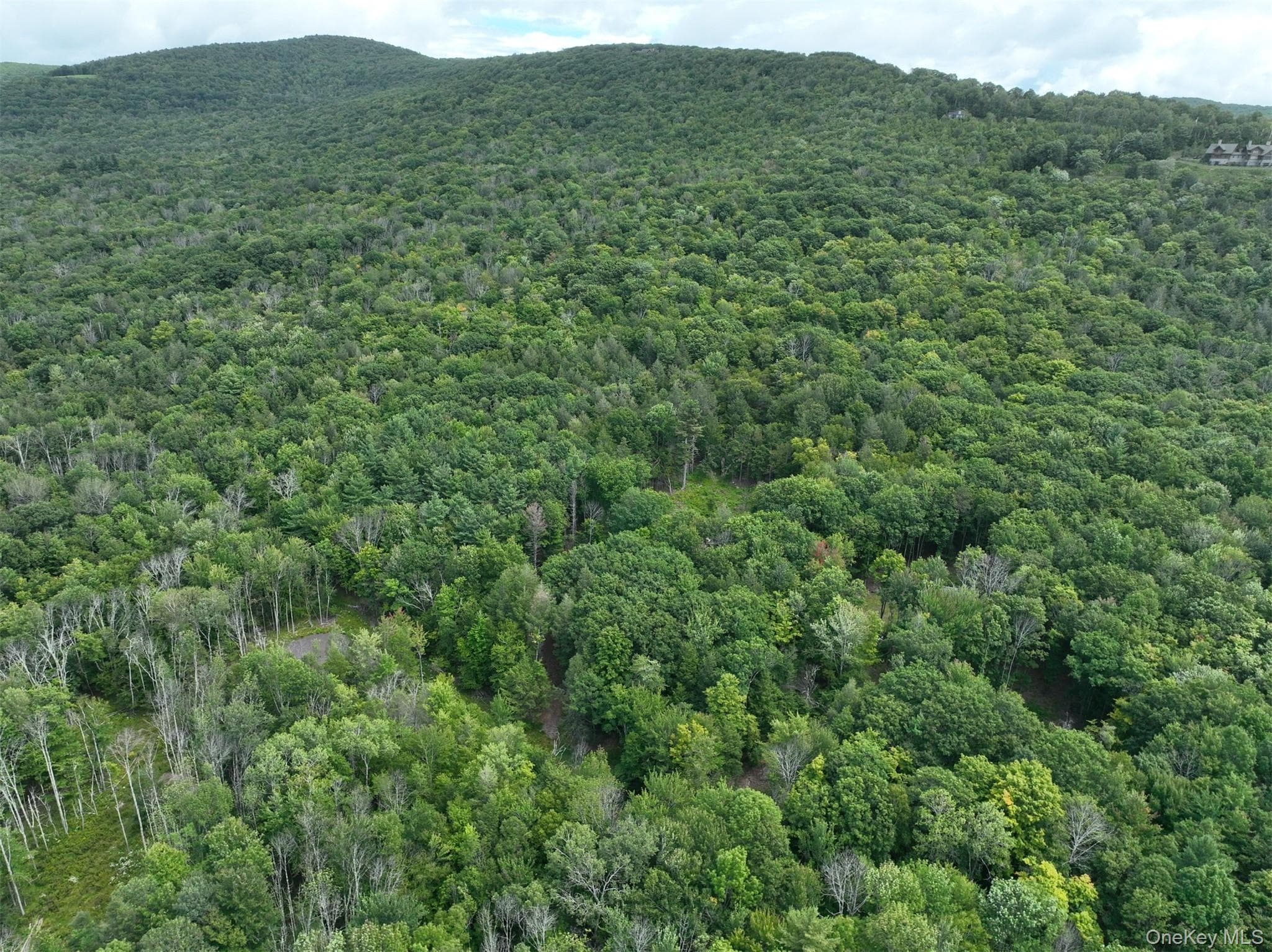 TBD Boulder Brook Lot B12 Road thumbnail 44