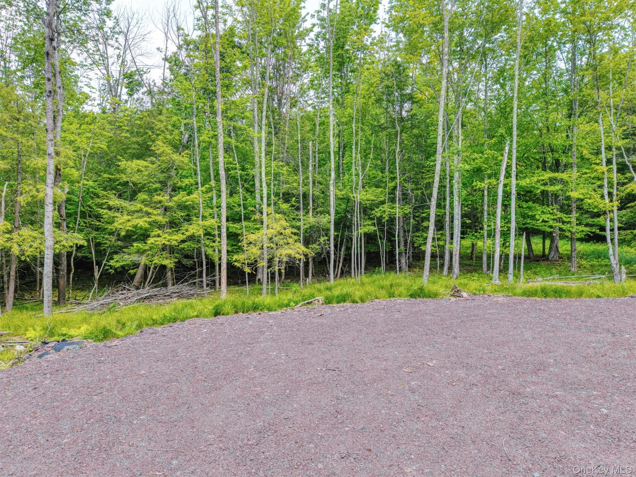 TBD Boulder Brook Lot B12 Road thumbnail 36
