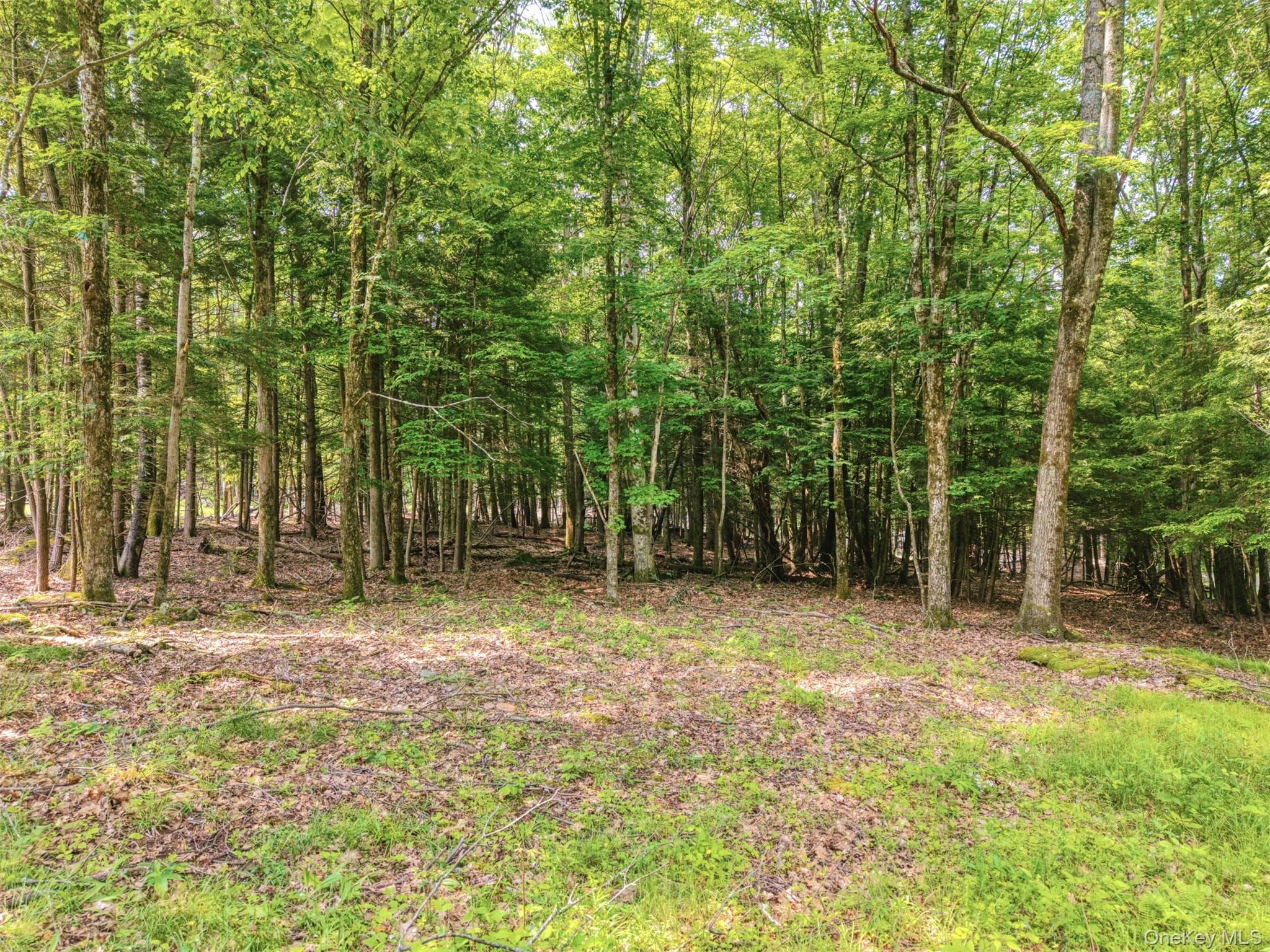 TBD Boulder Brook Lot B12 Road thumbnail 9