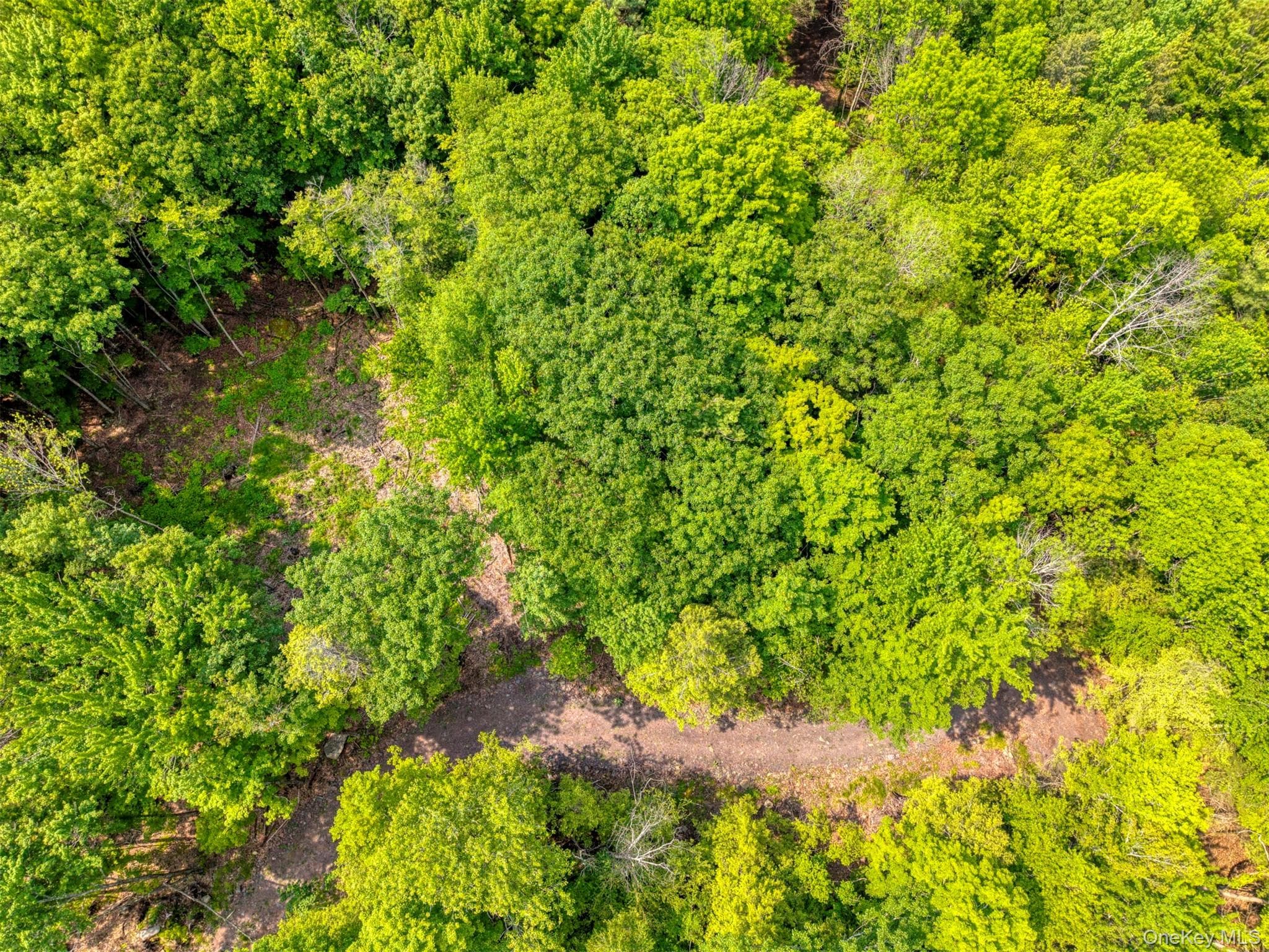TBD Boulder Brook Lot B12 Road thumbnail 16