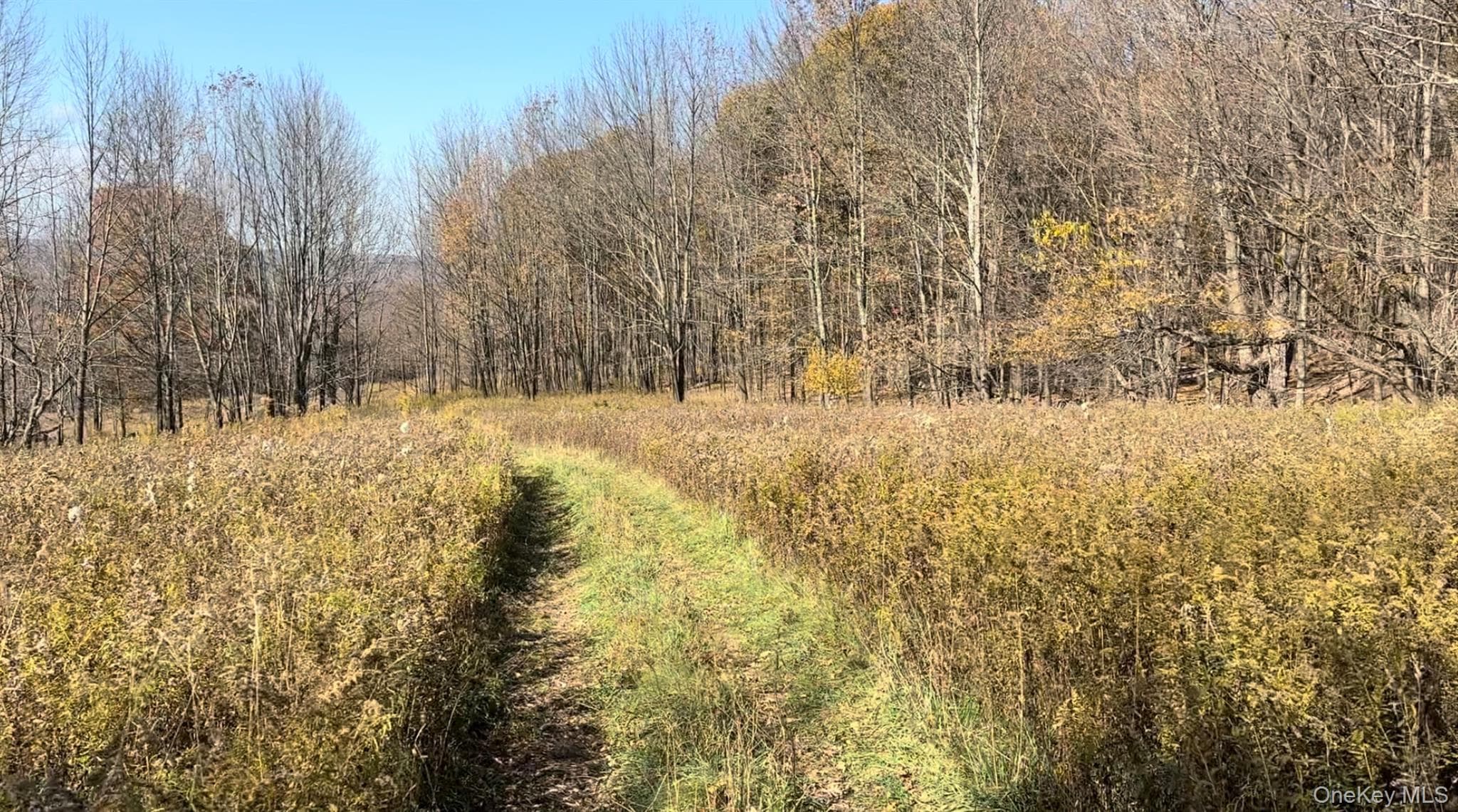 Chaffee Road thumbnail 4