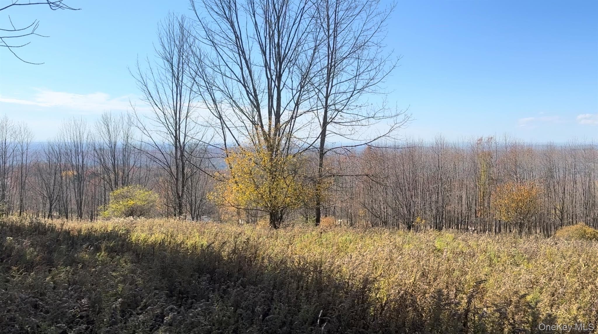 Chaffee Road thumbnail 2
