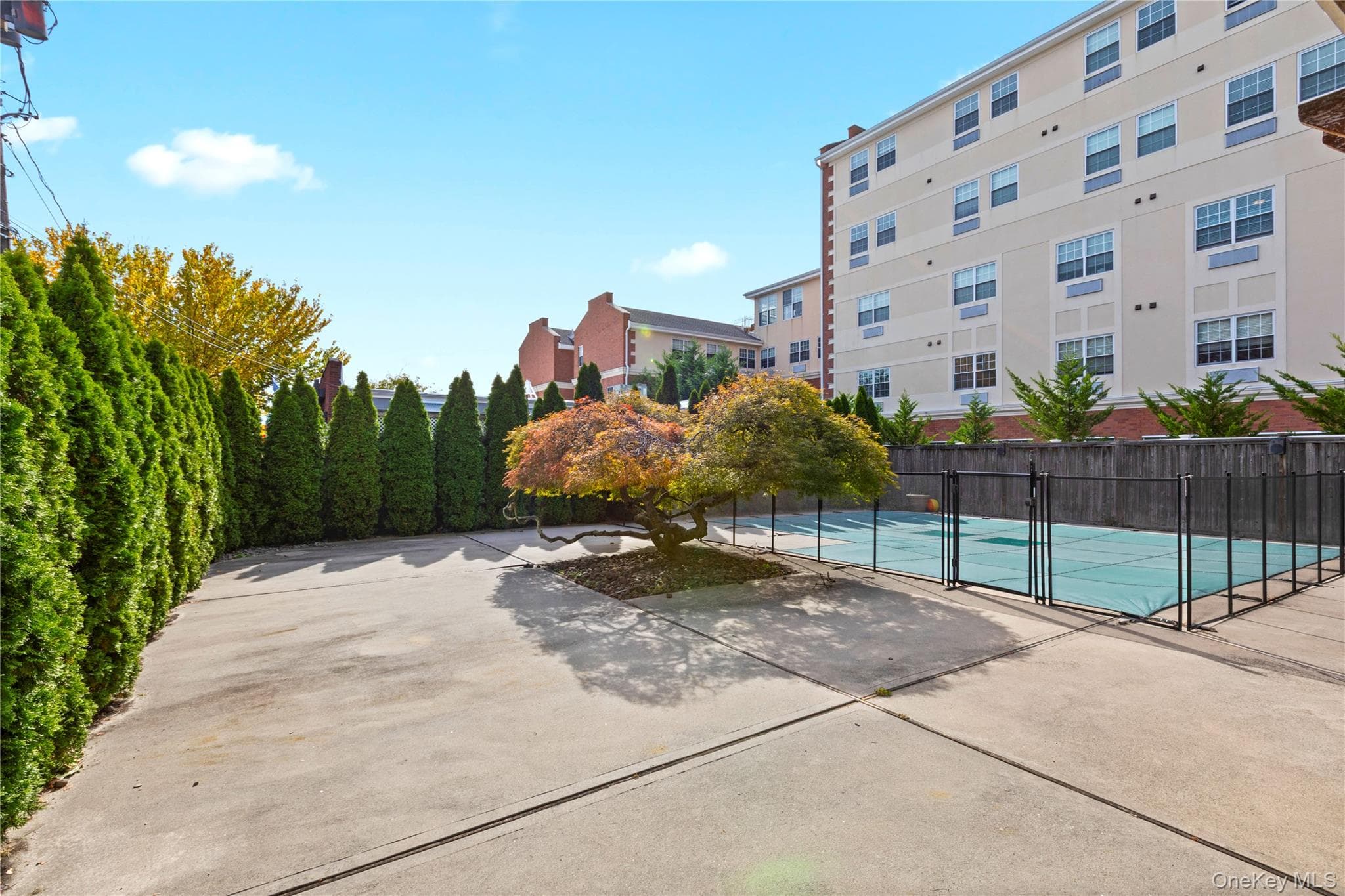 10 Maple Avenue thumbnail 20