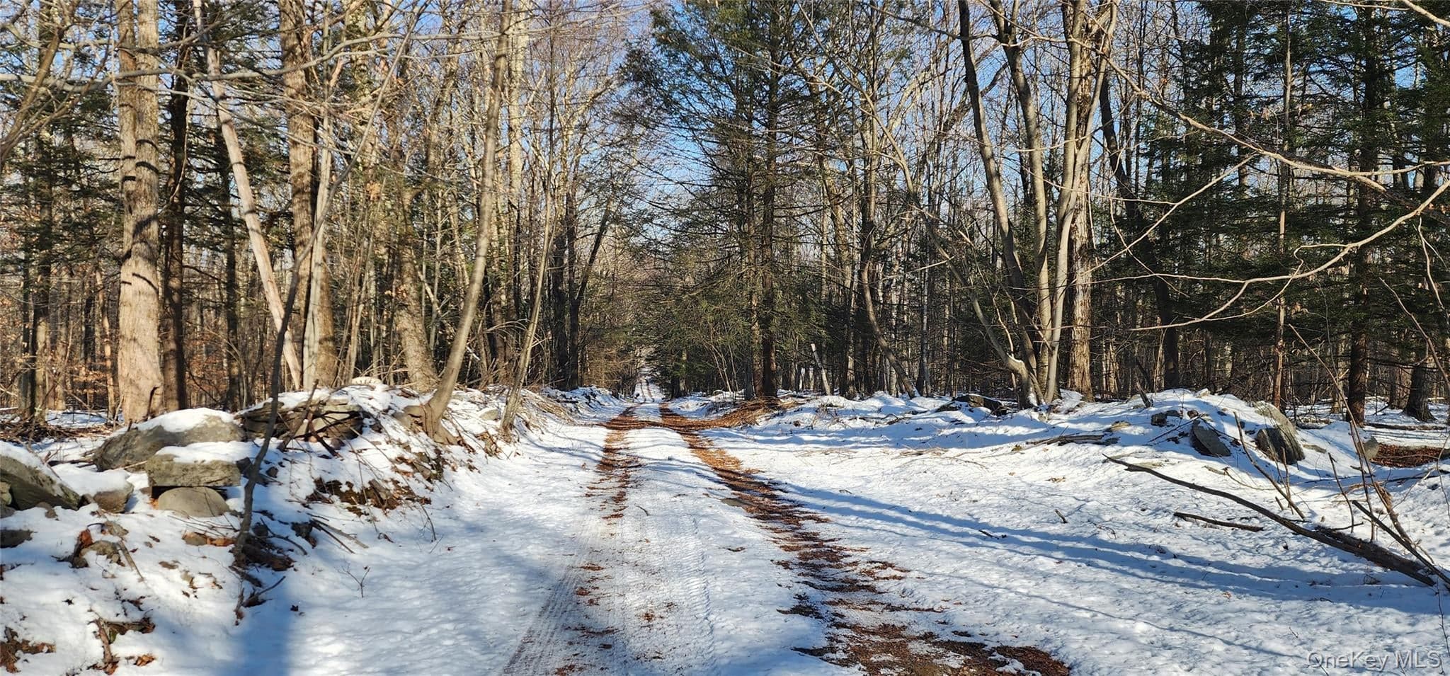 1433 County Route 56 Lane thumbnail 23