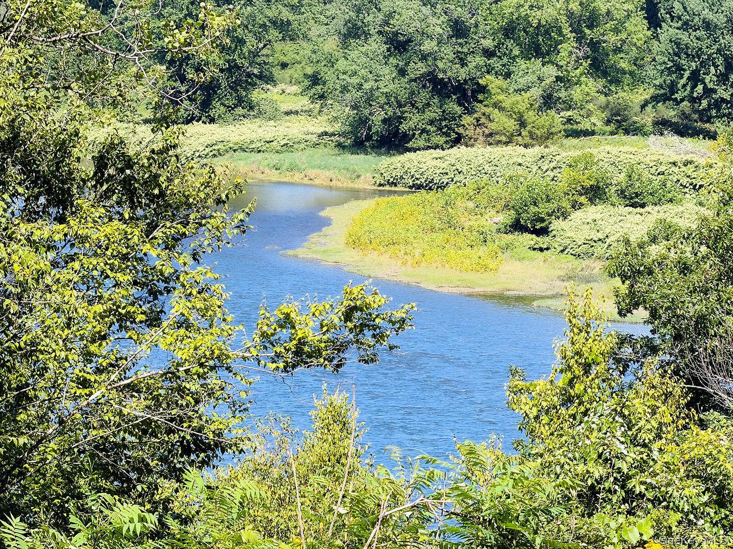 201 County Road 114 thumbnail 42